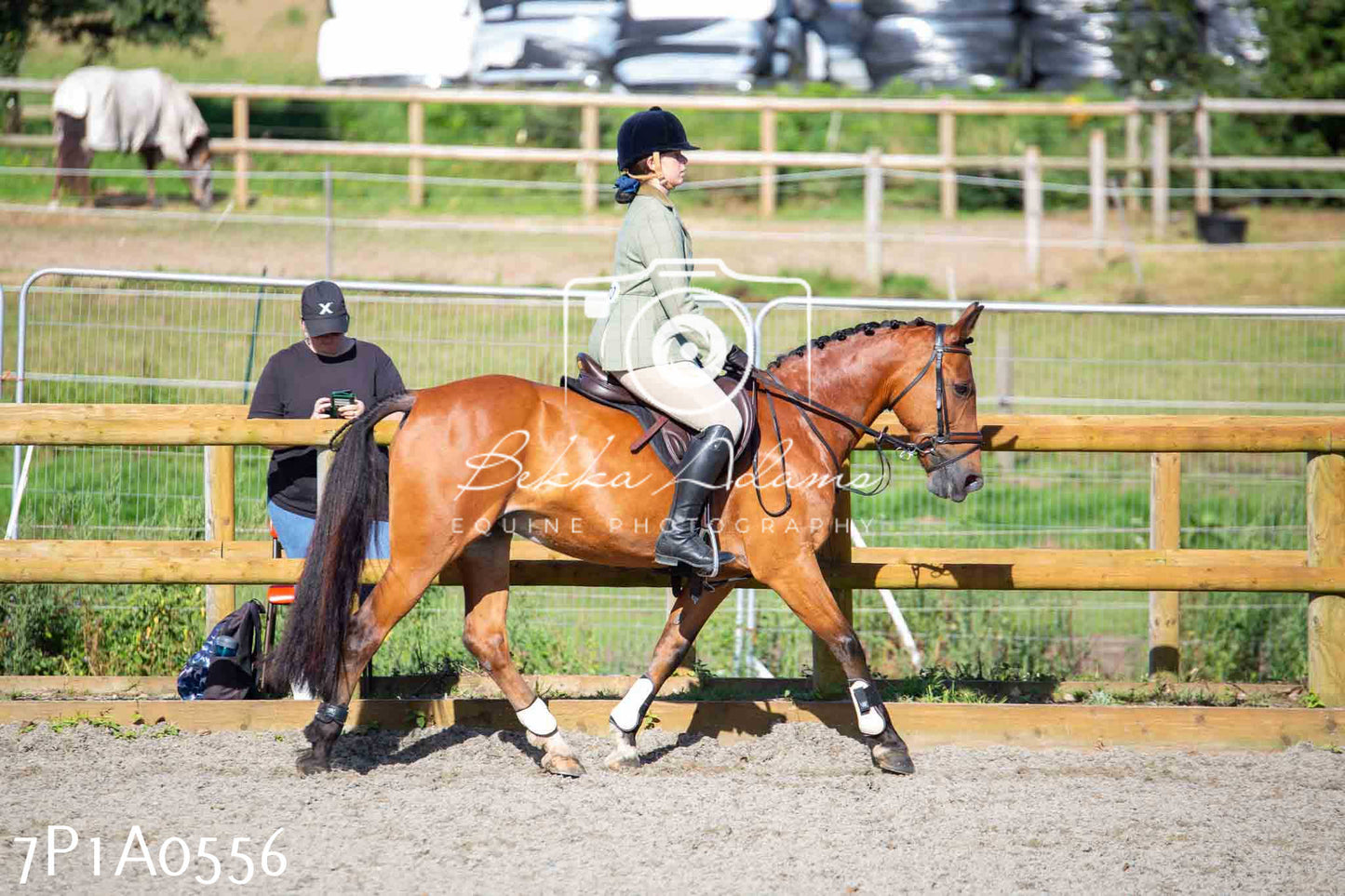 Home Farm Annual Show - Working Hunter 19th August 2023