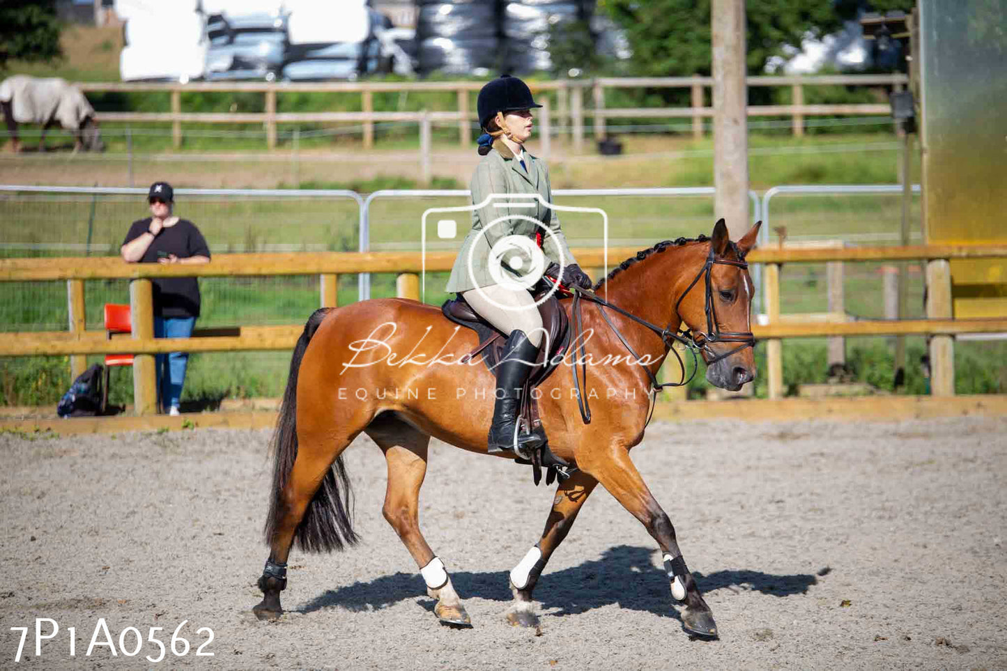 Home Farm Annual Show - Working Hunter 19th August 2023