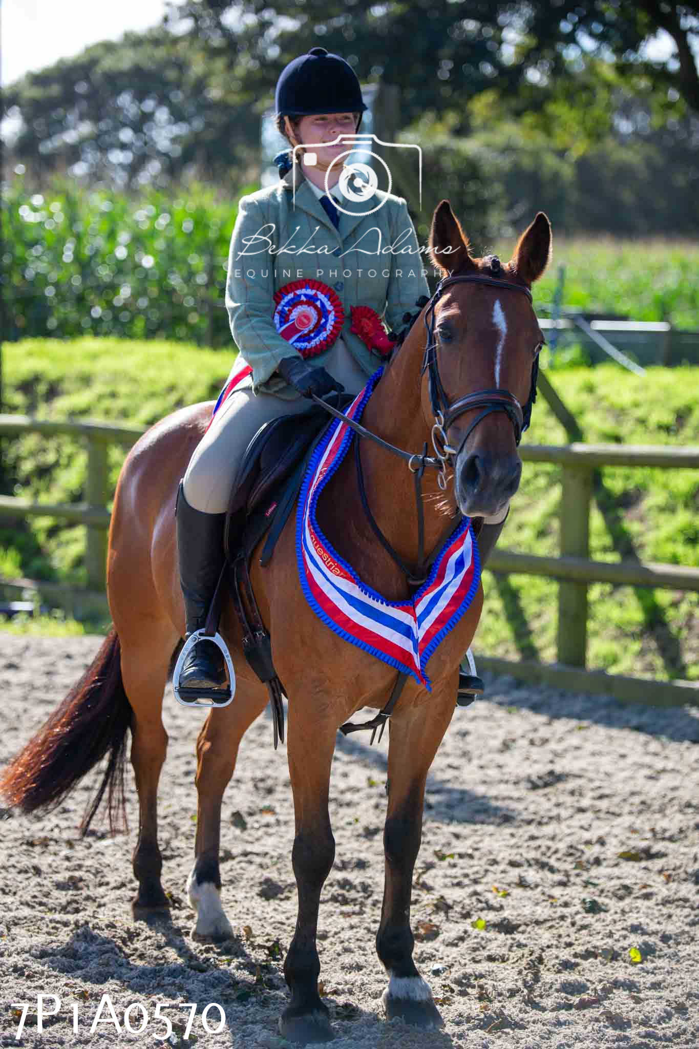 Home Farm Annual Show - Working Hunter 19th August 2023