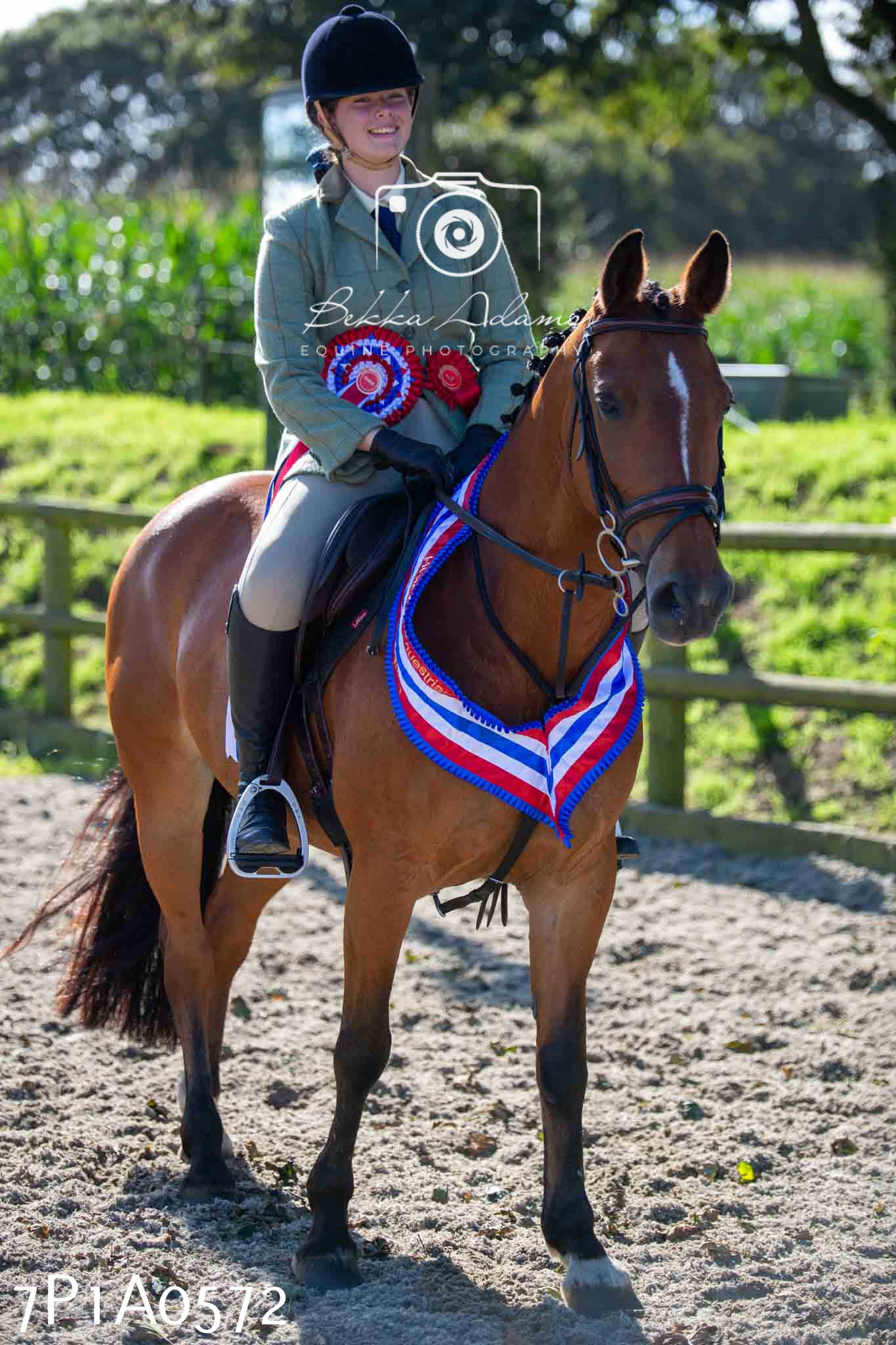 Home Farm Annual Show - Working Hunter 19th August 2023