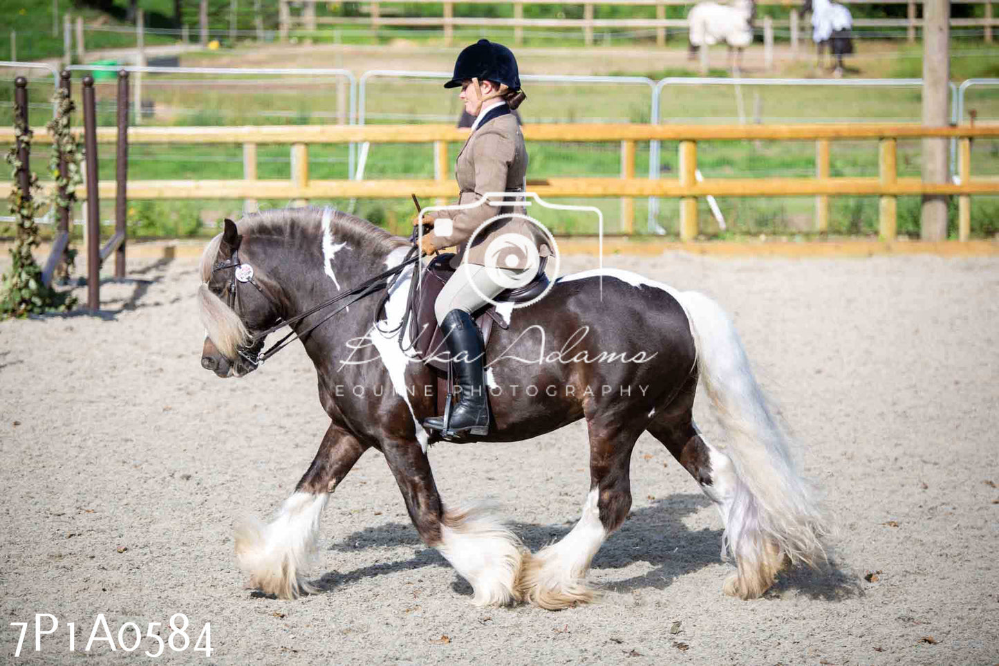 Home Farm Annual Show - Working Hunter 19th August 2023