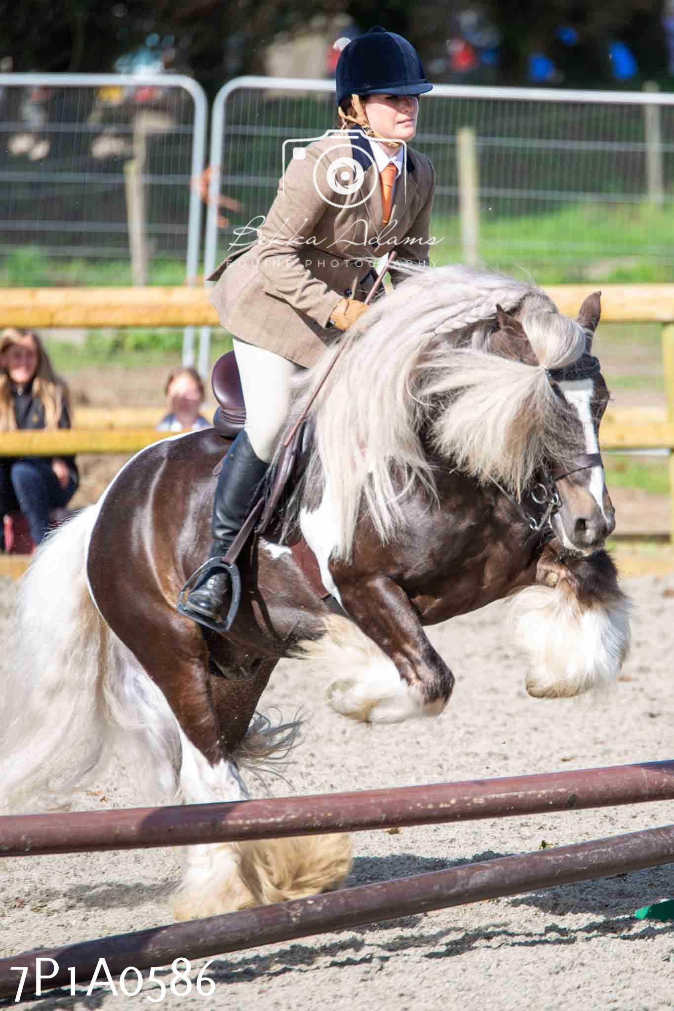 Home Farm Annual Show - Working Hunter 19th August 2023