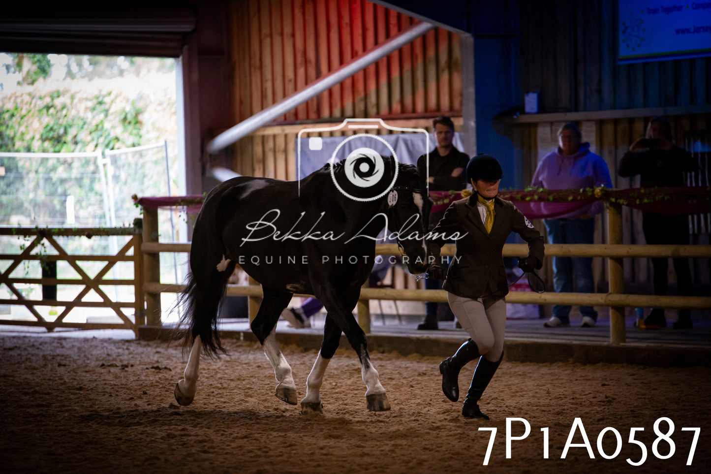JHOYS 2025 - In hand Showing - 27th September pt2