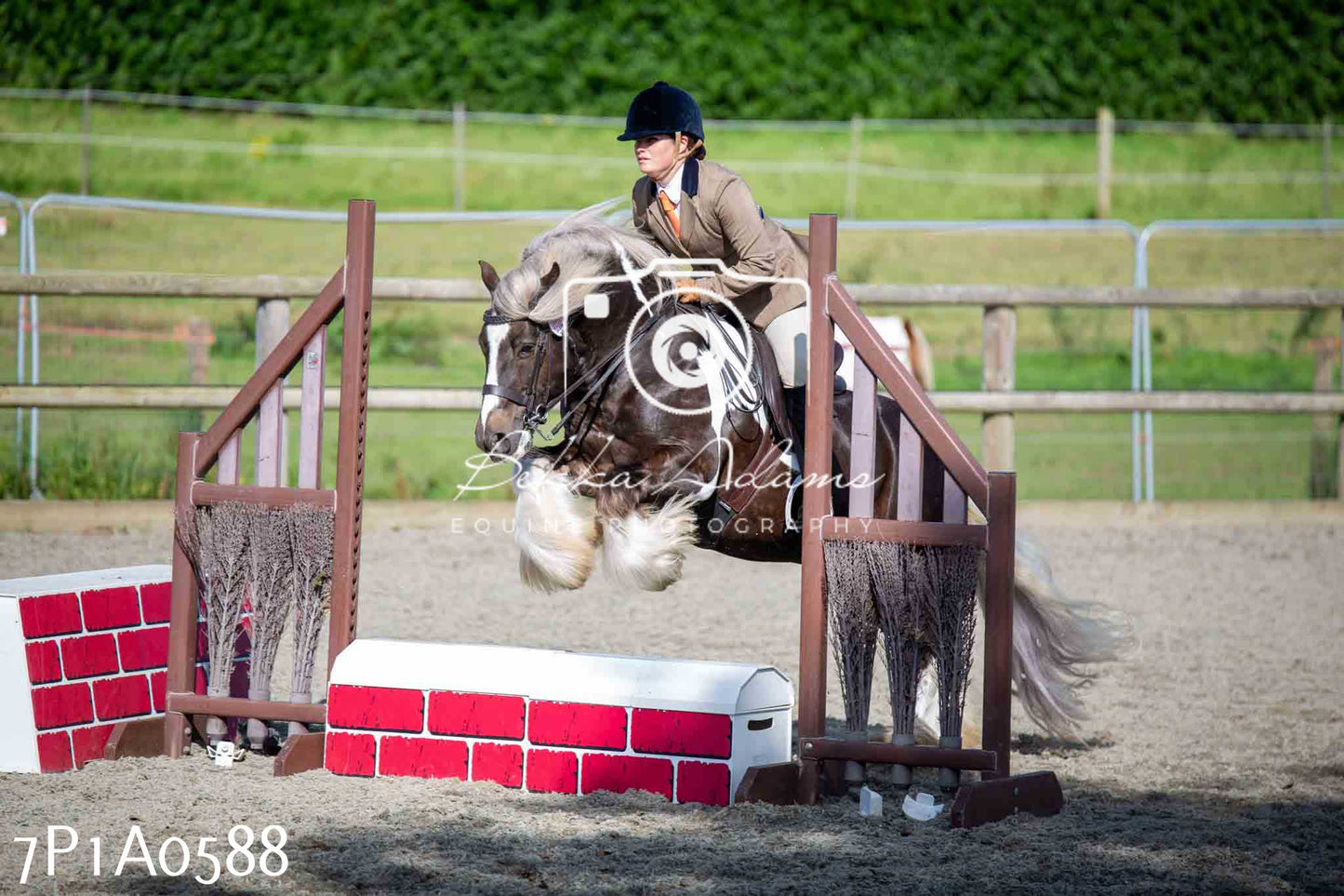 Home Farm Annual Show - Working Hunter 19th August 2023