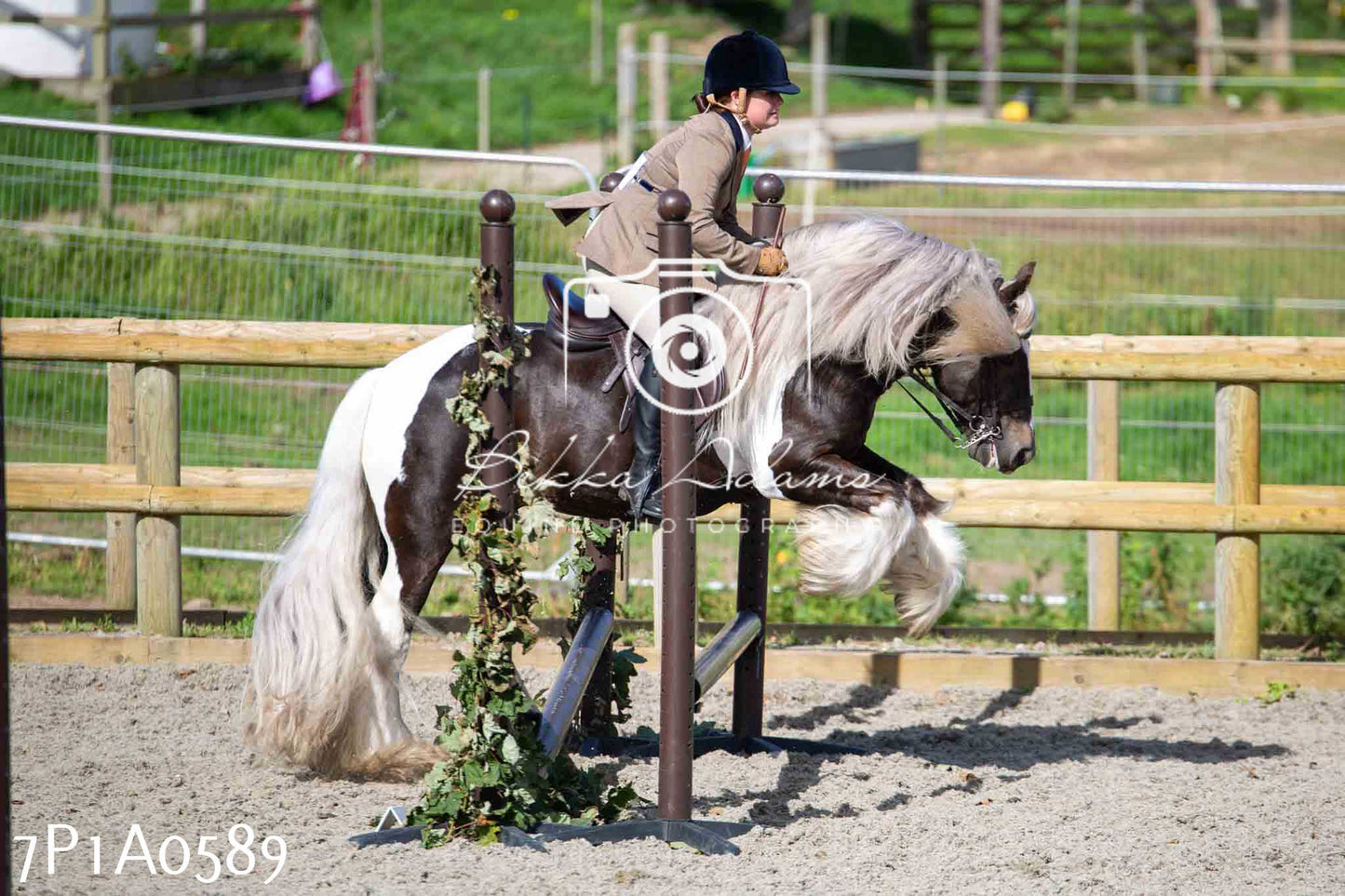 Home Farm Annual Show - Working Hunter 19th August 2023