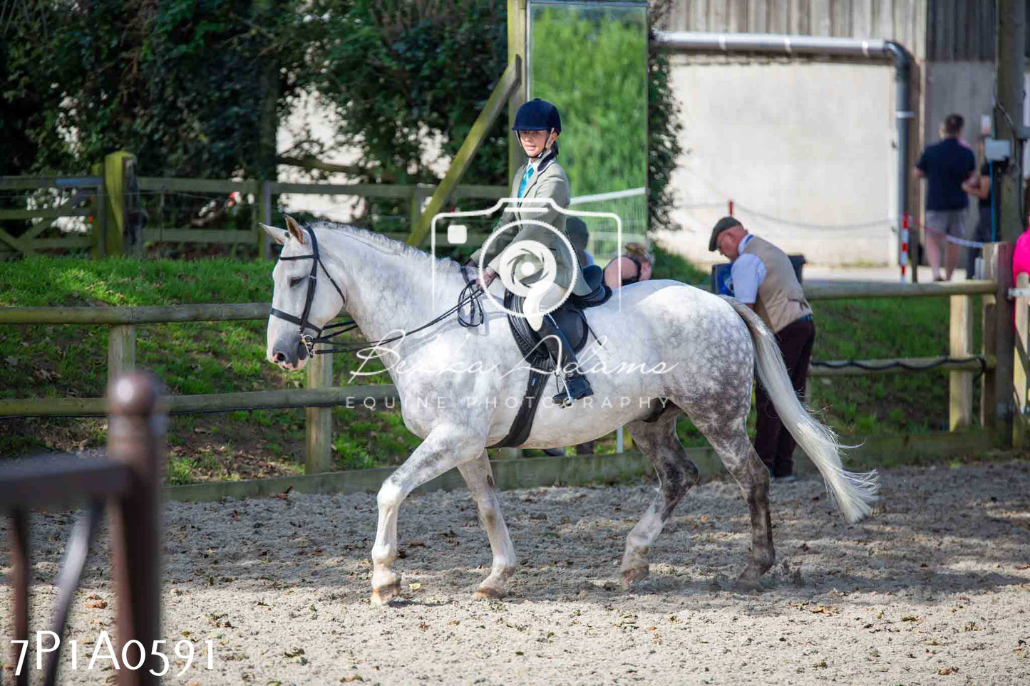 Home Farm Annual Show - Working Hunter 19th August 2023