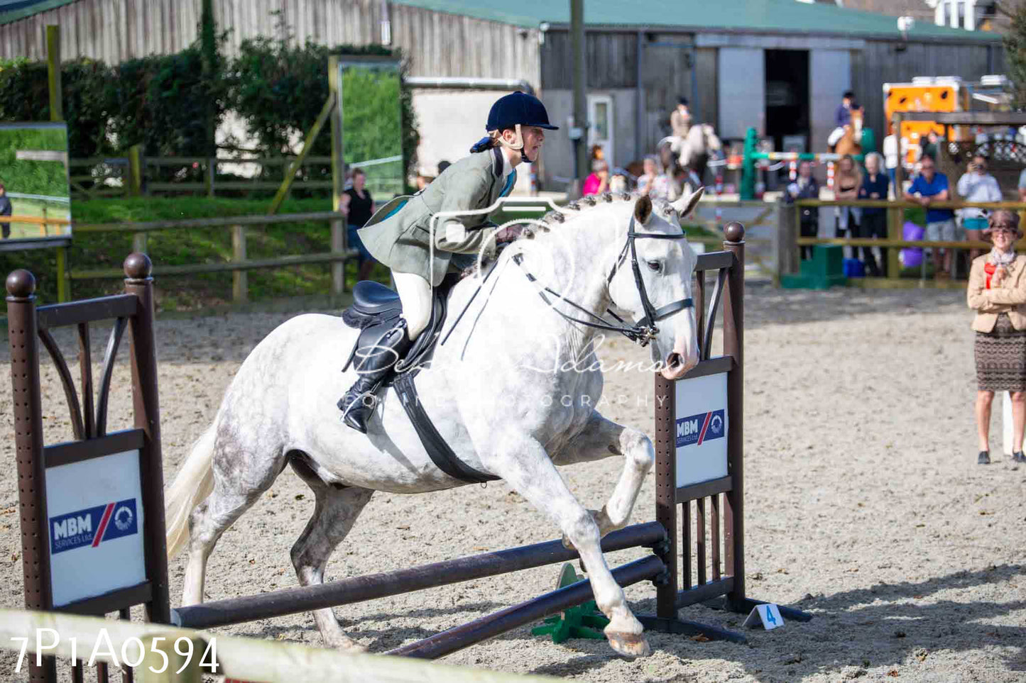 Home Farm Annual Show - Working Hunter 19th August 2023