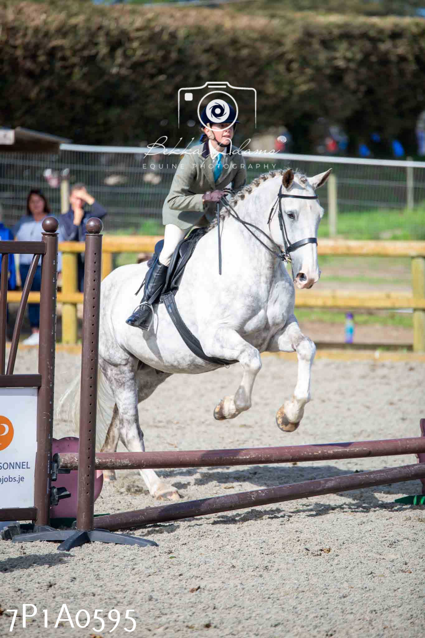 Home Farm Annual Show - Working Hunter 19th August 2023