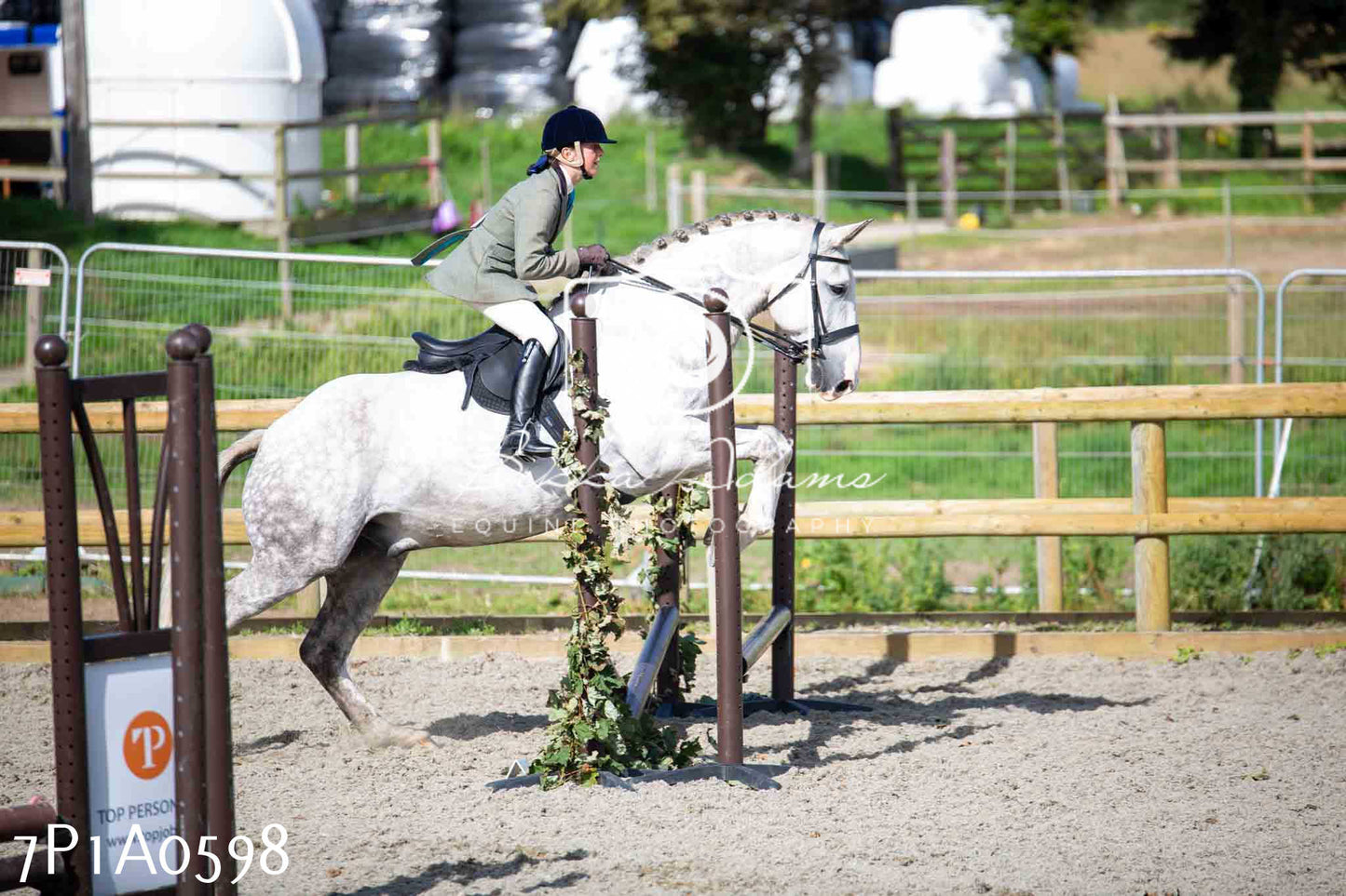 Home Farm Annual Show - Working Hunter 19th August 2023