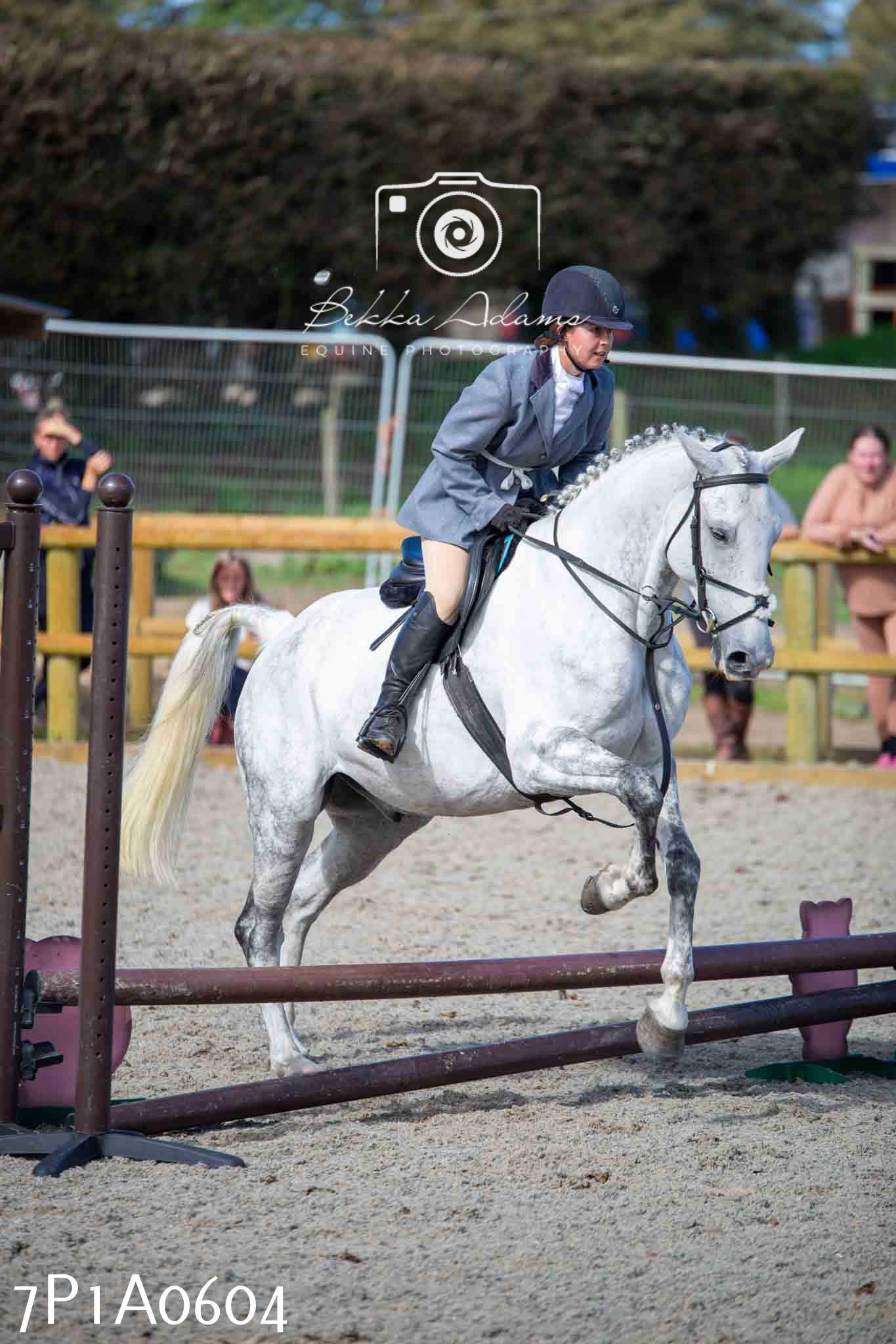 Home Farm Annual Show - Working Hunter 19th August 2023