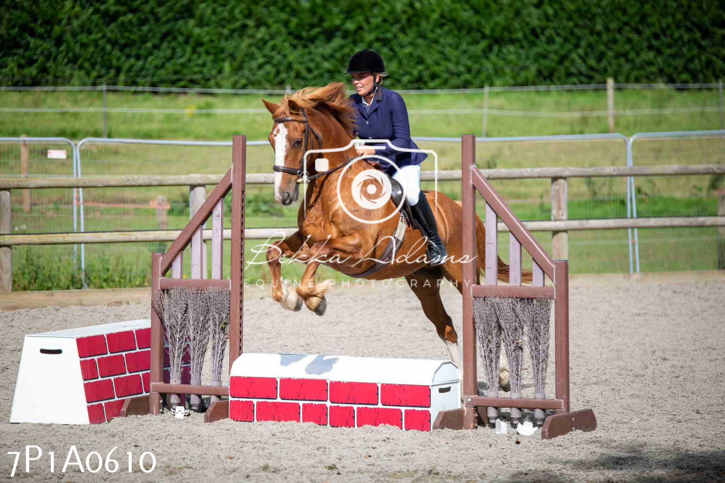 Home Farm Annual Show - Working Hunter 19th August 2023