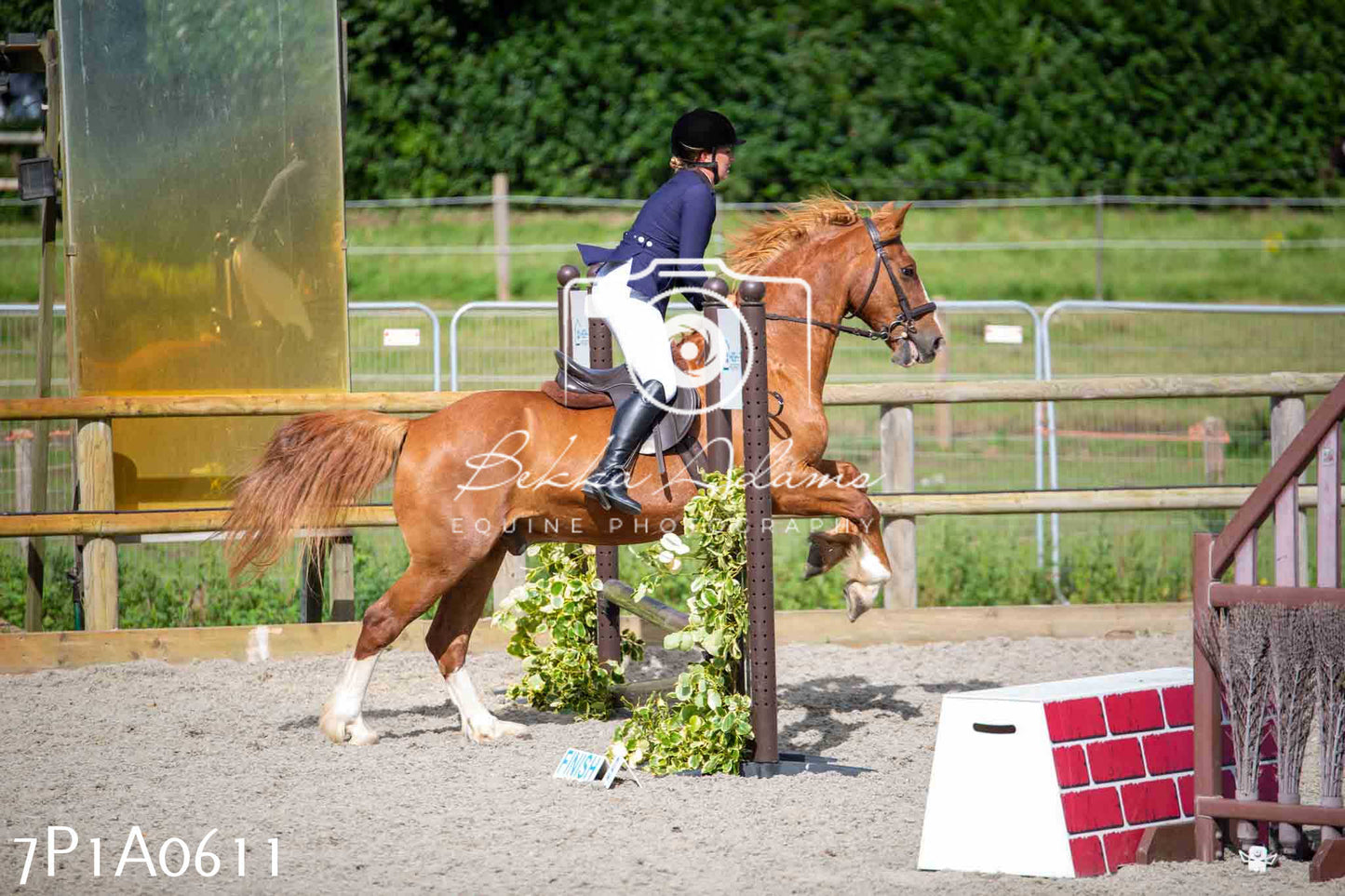 Home Farm Annual Show - Working Hunter 19th August 2023