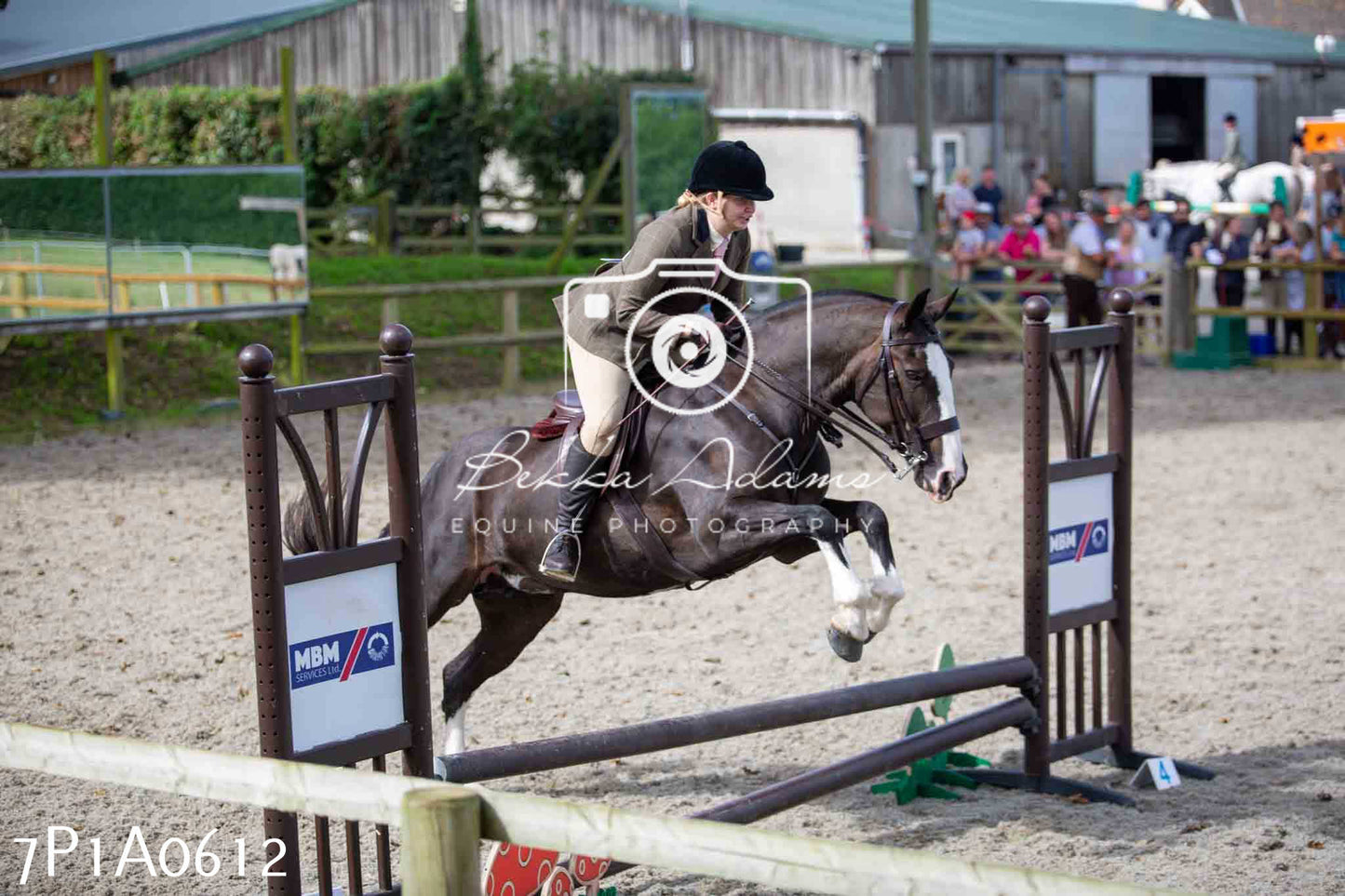 Home Farm Annual Show - Working Hunter 19th August 2023