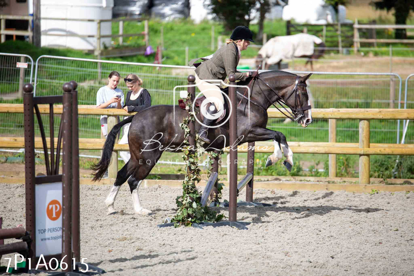 Home Farm Annual Show - Working Hunter 19th August 2023