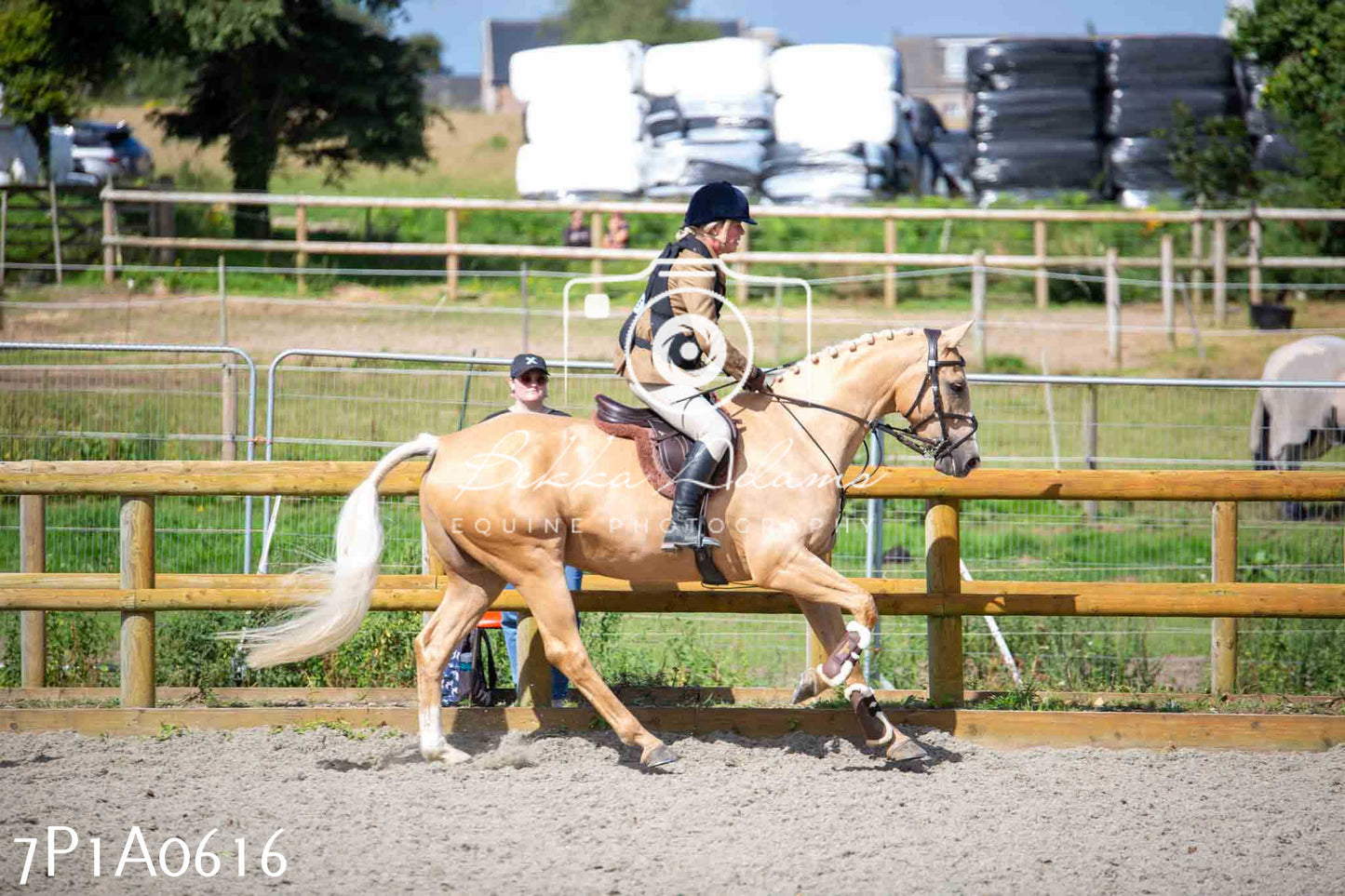 Home Farm Annual Show - Working Hunter 19th August 2023