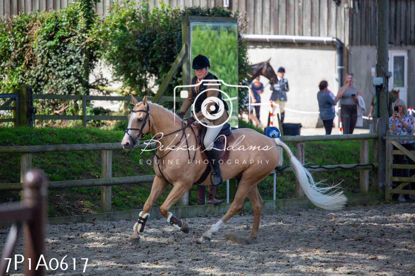 Home Farm Annual Show - Working Hunter 19th August 2023