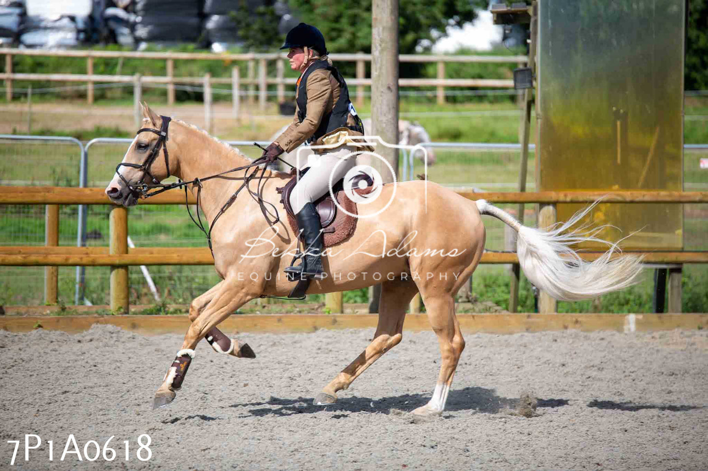 Home Farm Annual Show - Working Hunter 19th August 2023