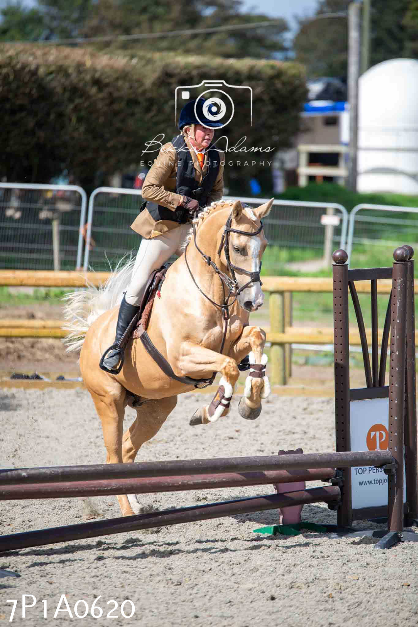 Home Farm Annual Show - Working Hunter 19th August 2023