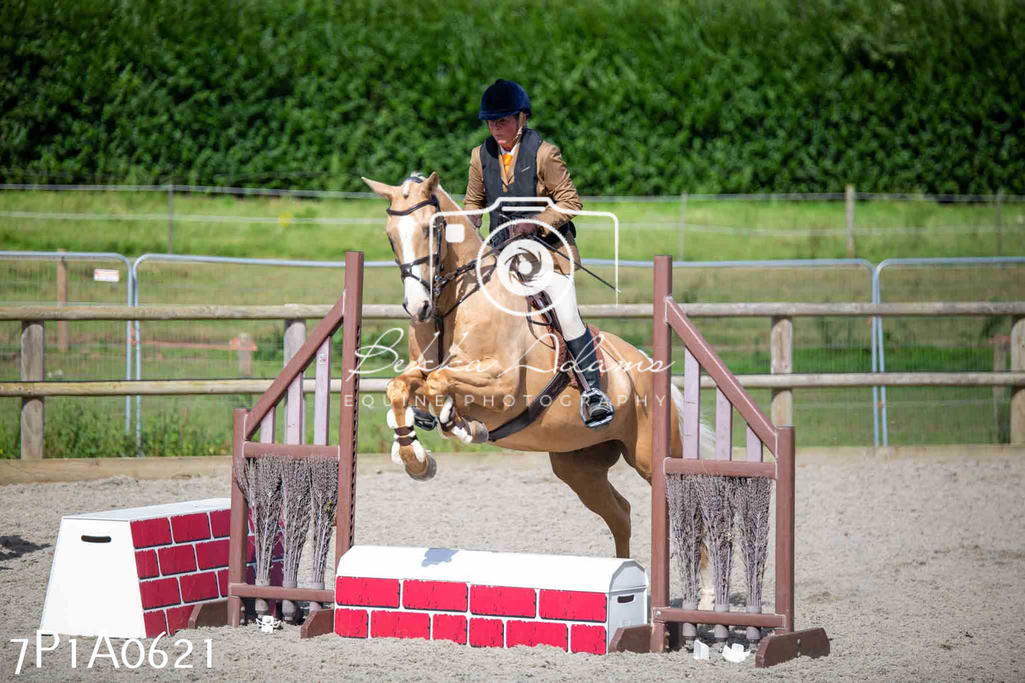 Home Farm Annual Show - Working Hunter 19th August 2023