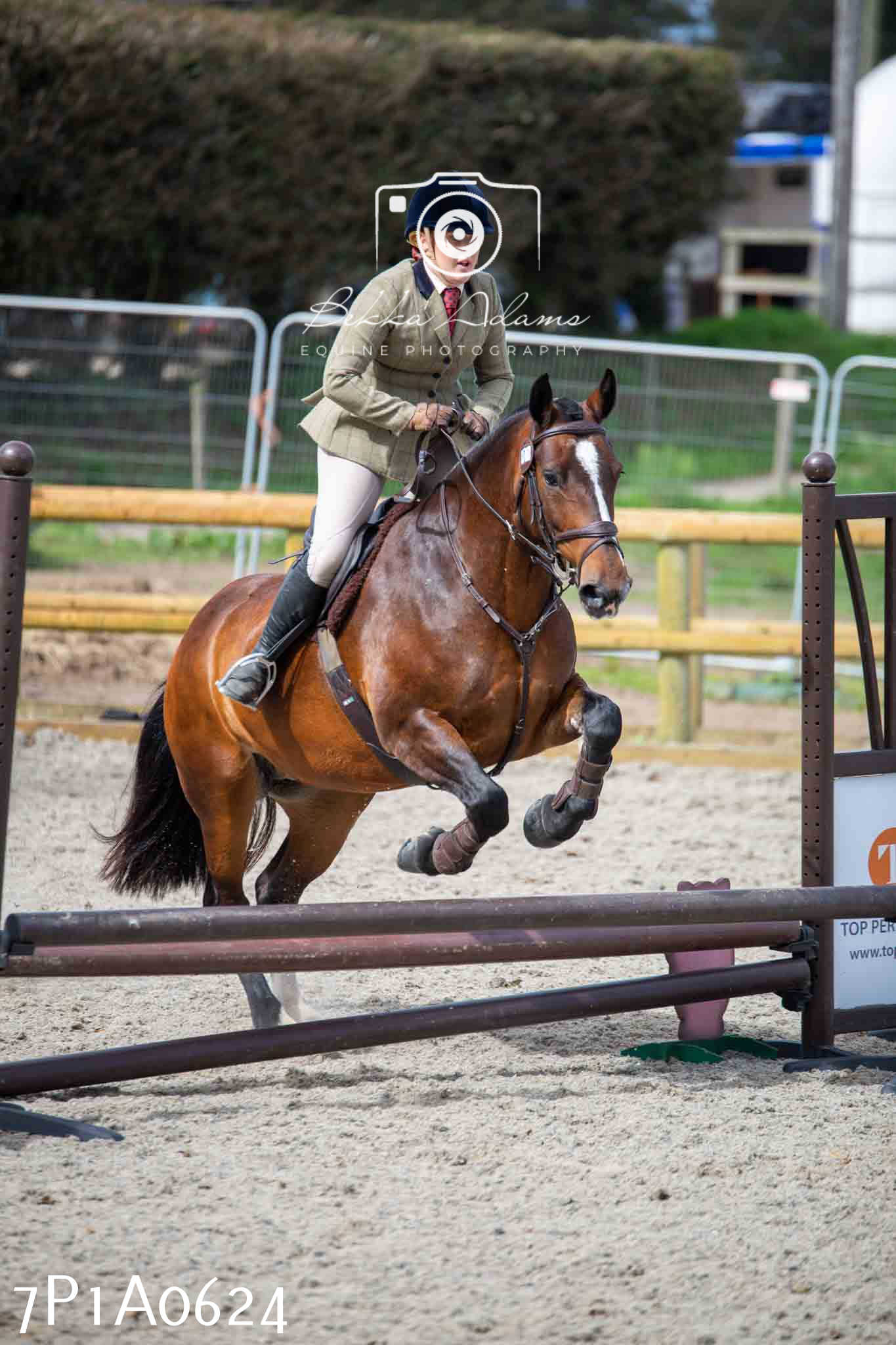 Home Farm Annual Show - Working Hunter 19th August 2023