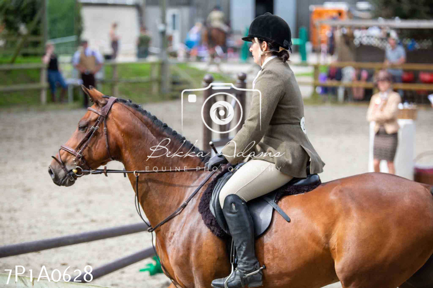 Home Farm Annual Show - Working Hunter 19th August 2023