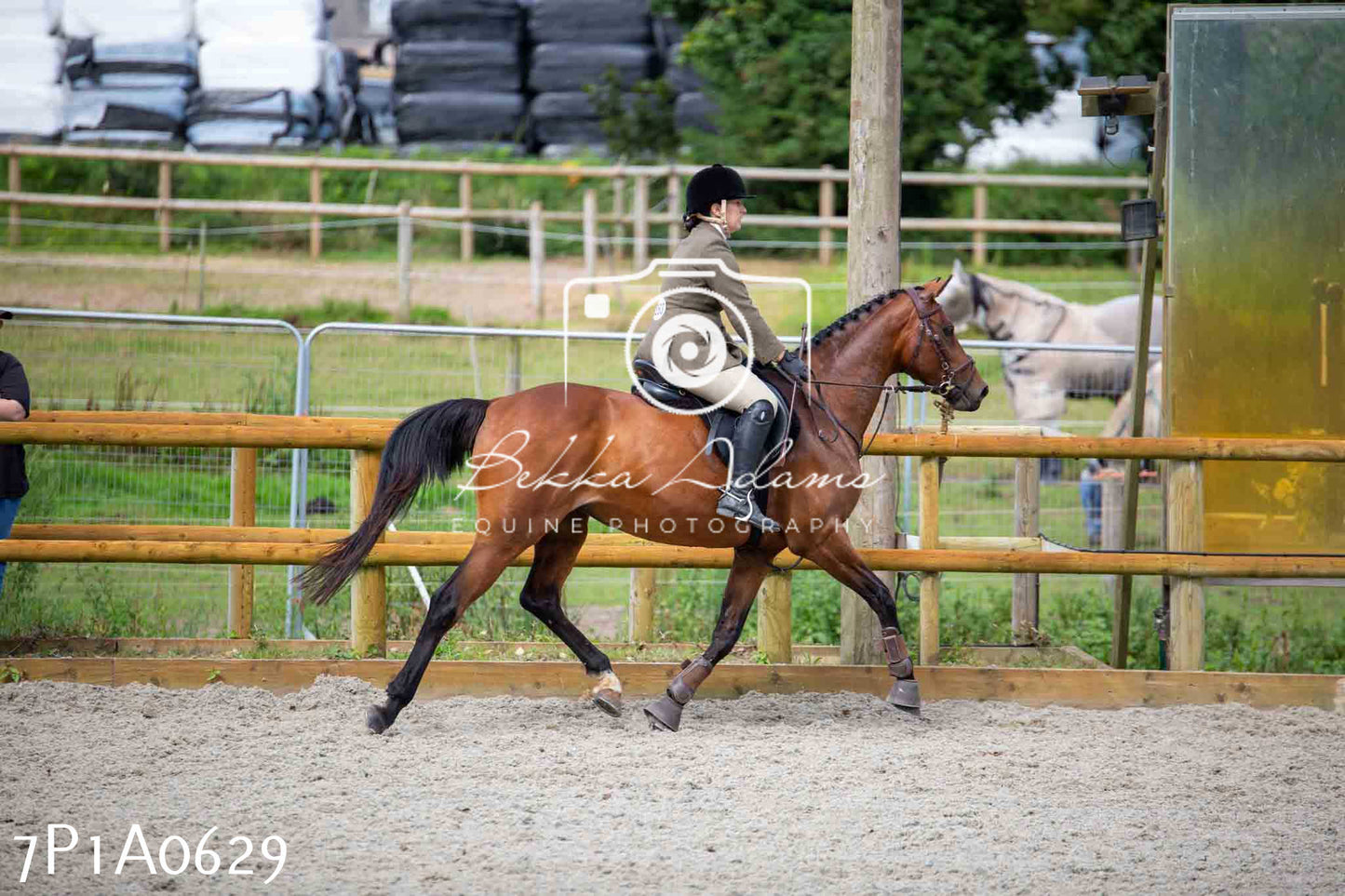 Home Farm Annual Show - Working Hunter 19th August 2023