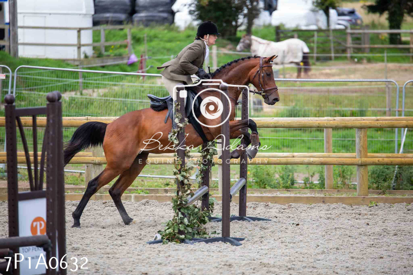 Home Farm Annual Show - Working Hunter 19th August 2023