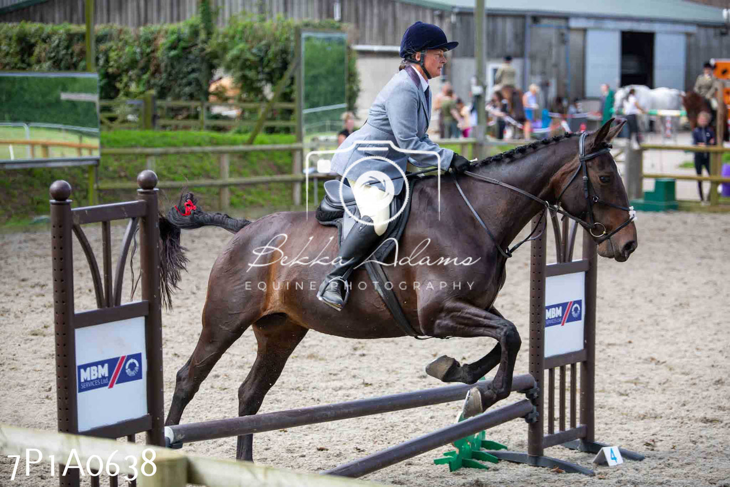 Home Farm Annual Show - Working Hunter 19th August 2023