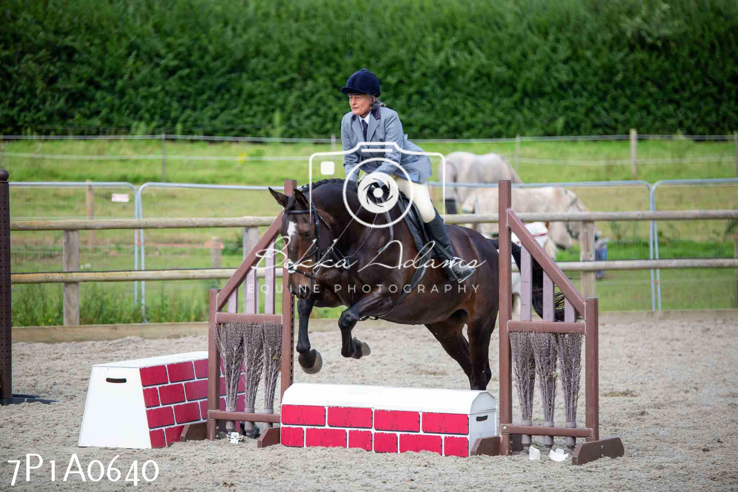 Home Farm Annual Show - Working Hunter 19th August 2023