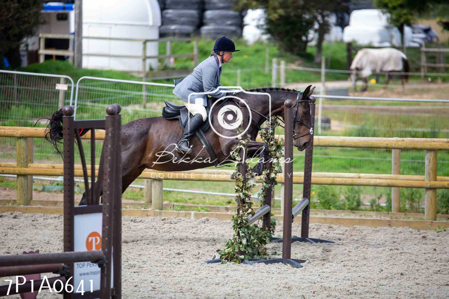 Home Farm Annual Show - Working Hunter 19th August 2023