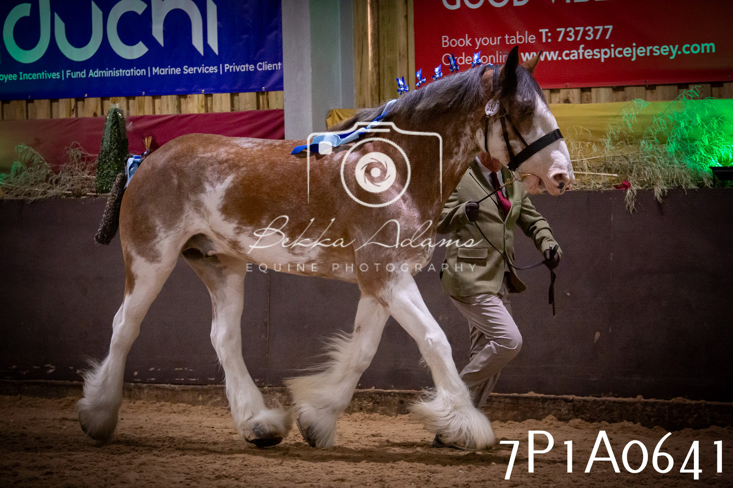 JHOYS 2025 - In hand Showing - 27th September pt2