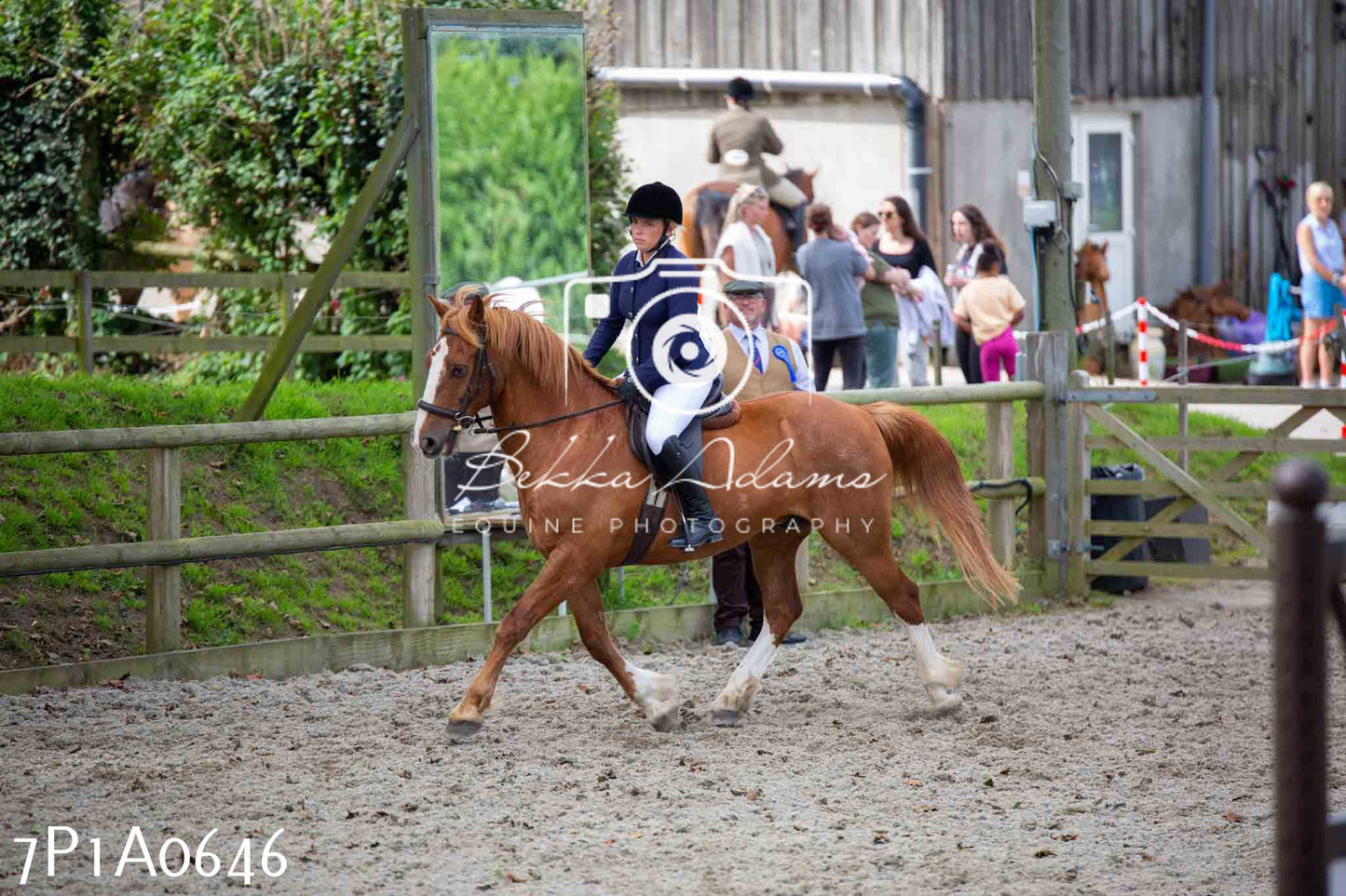 Home Farm Annual Show - Working Hunter 19th August 2023