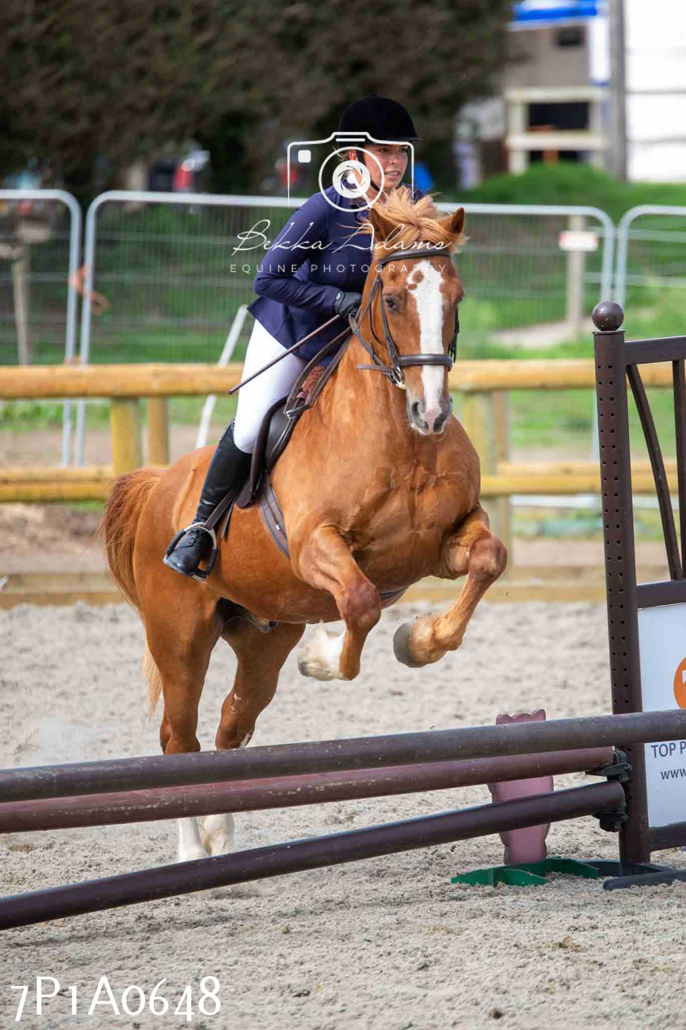 Home Farm Annual Show - Working Hunter 19th August 2023