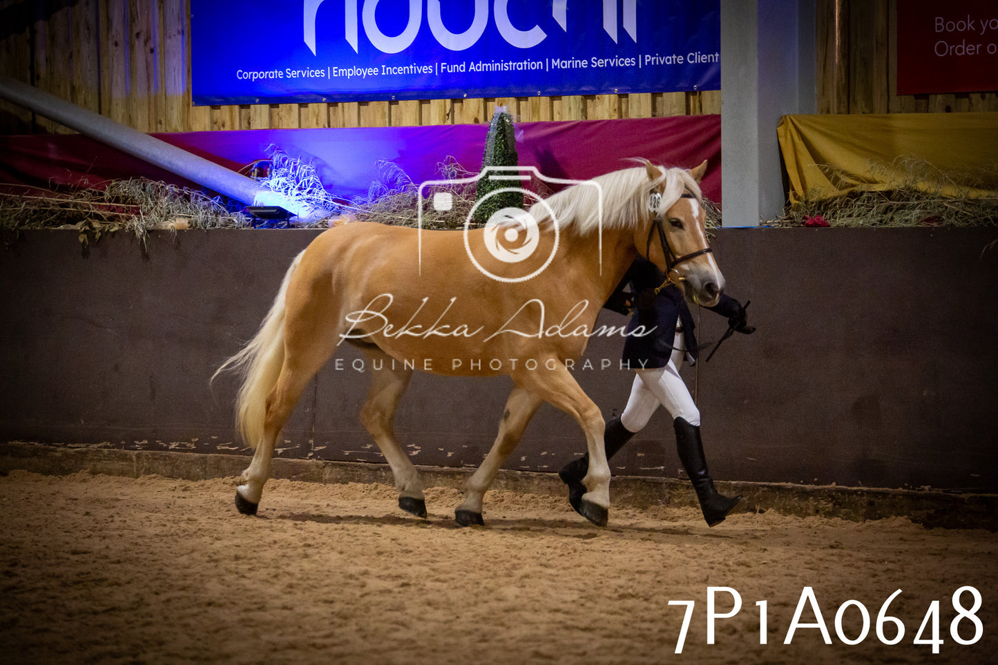 JHOYS 2025 - In hand Showing - 27th September pt2