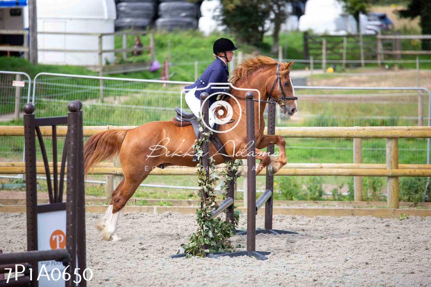 Home Farm Annual Show - Working Hunter 19th August 2023