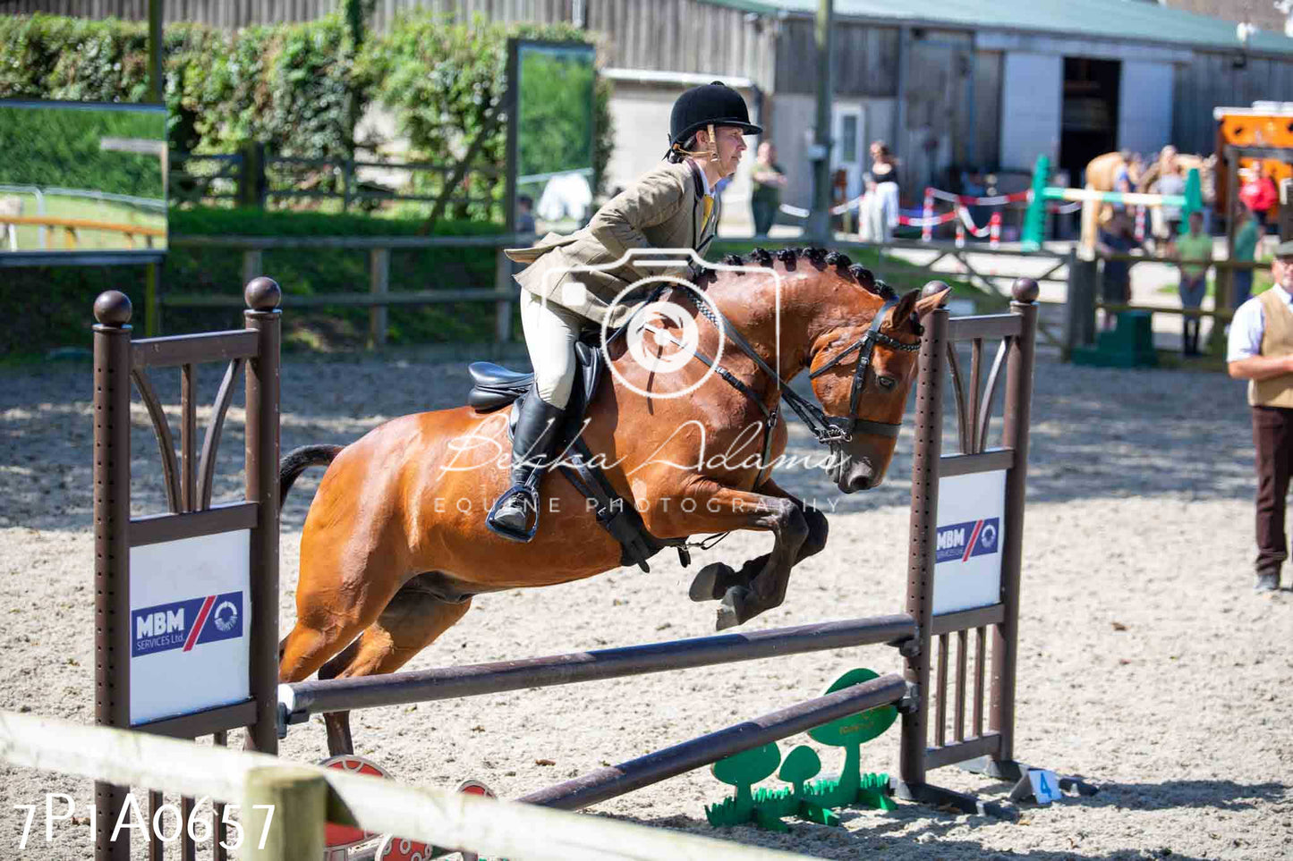 Home Farm Annual Show - Working Hunter 19th August 2023