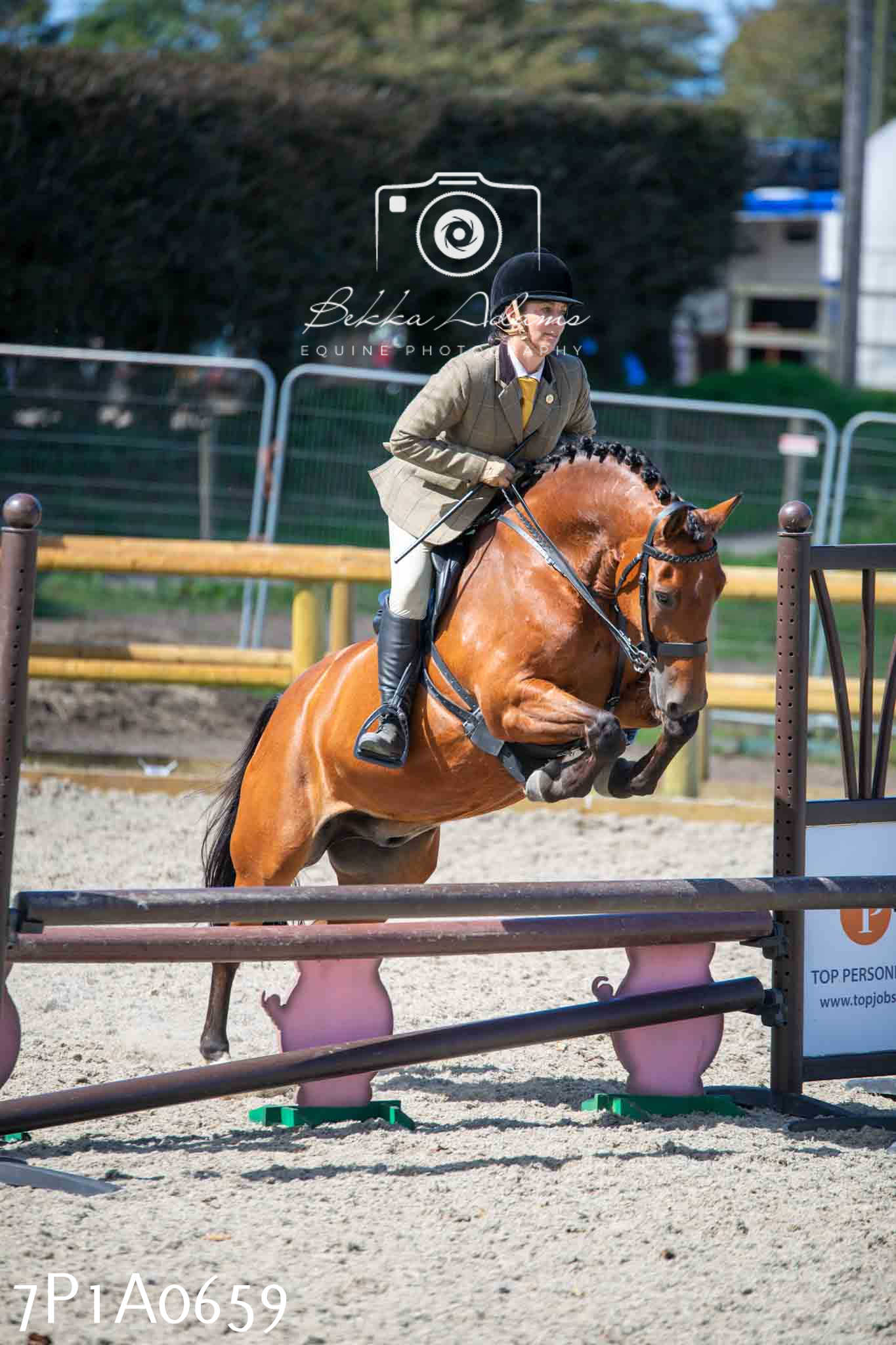 Home Farm Annual Show - Working Hunter 19th August 2023