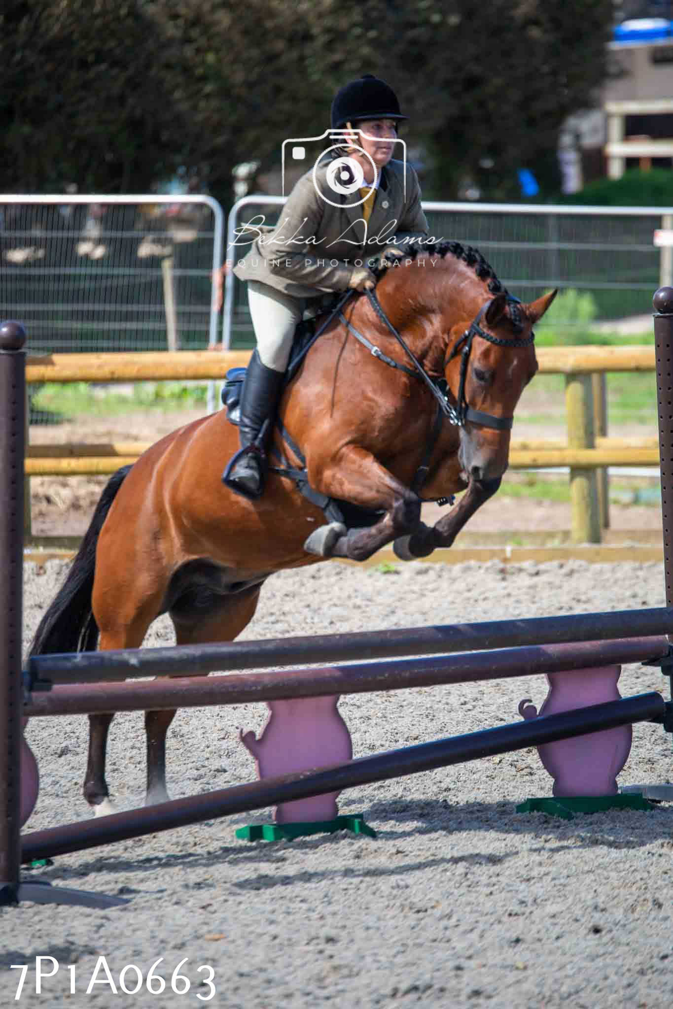 Home Farm Annual Show - Working Hunter 19th August 2023