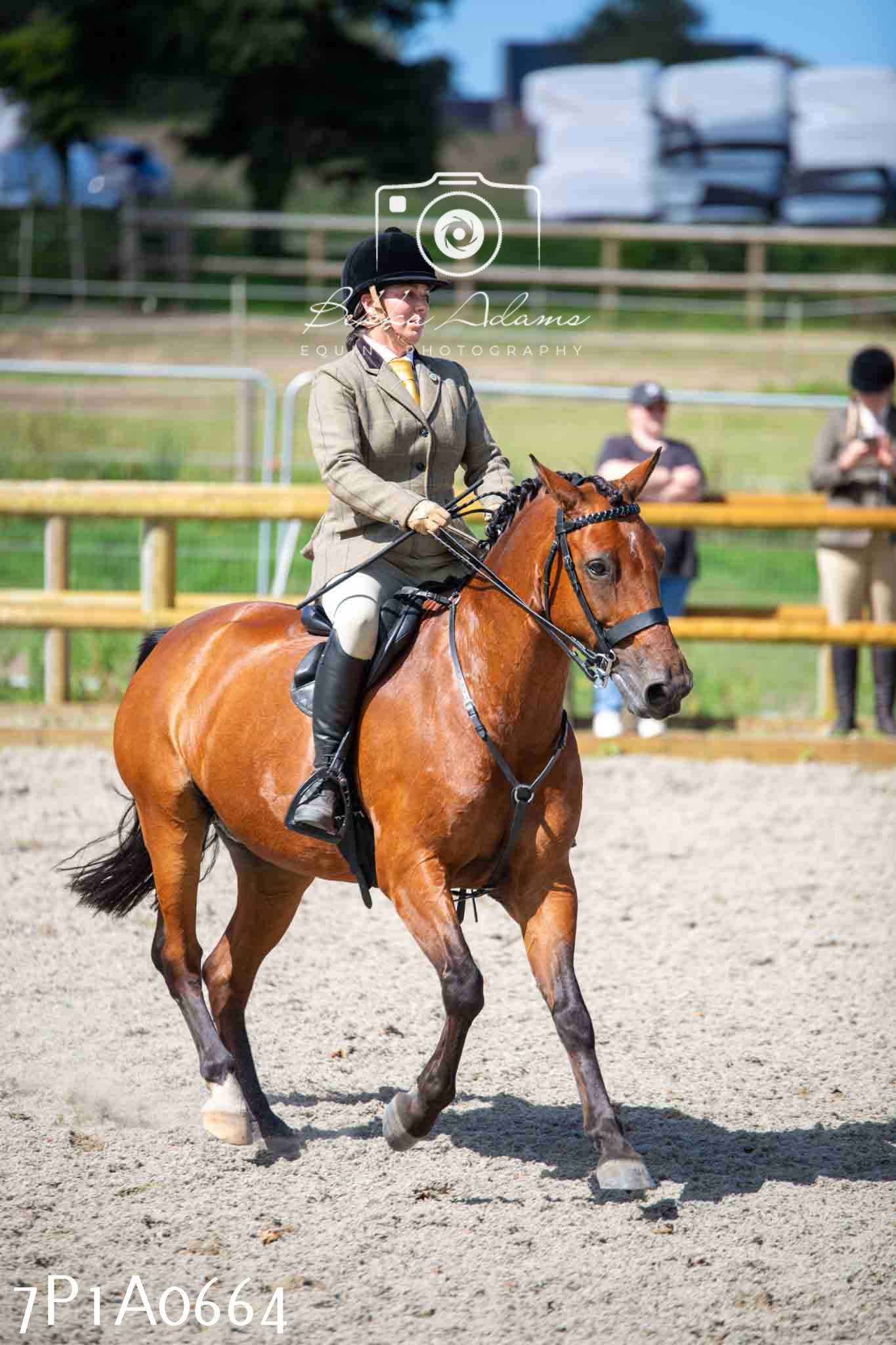 Home Farm Annual Show - Working Hunter 19th August 2023