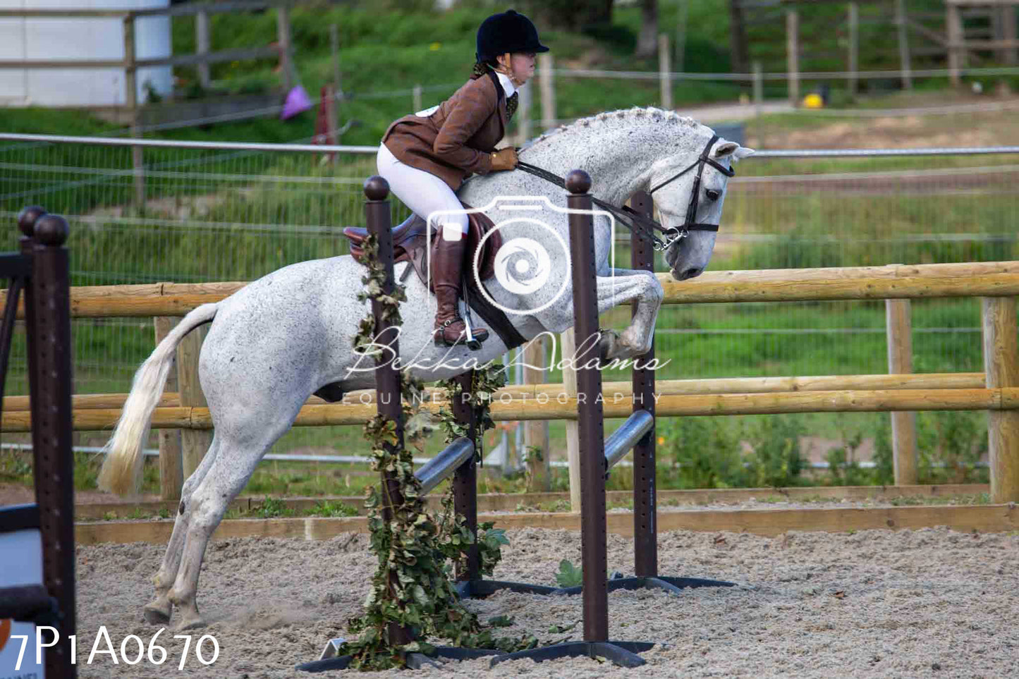 Home Farm Annual Show - Working Hunter 19th August 2023