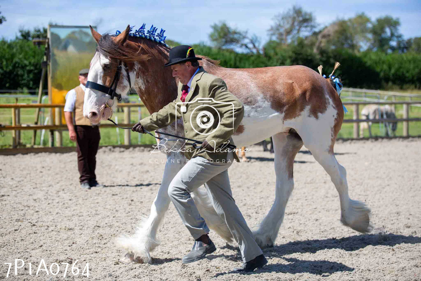 Home Farm Annual Show - Inhand Showing 19th August 2023