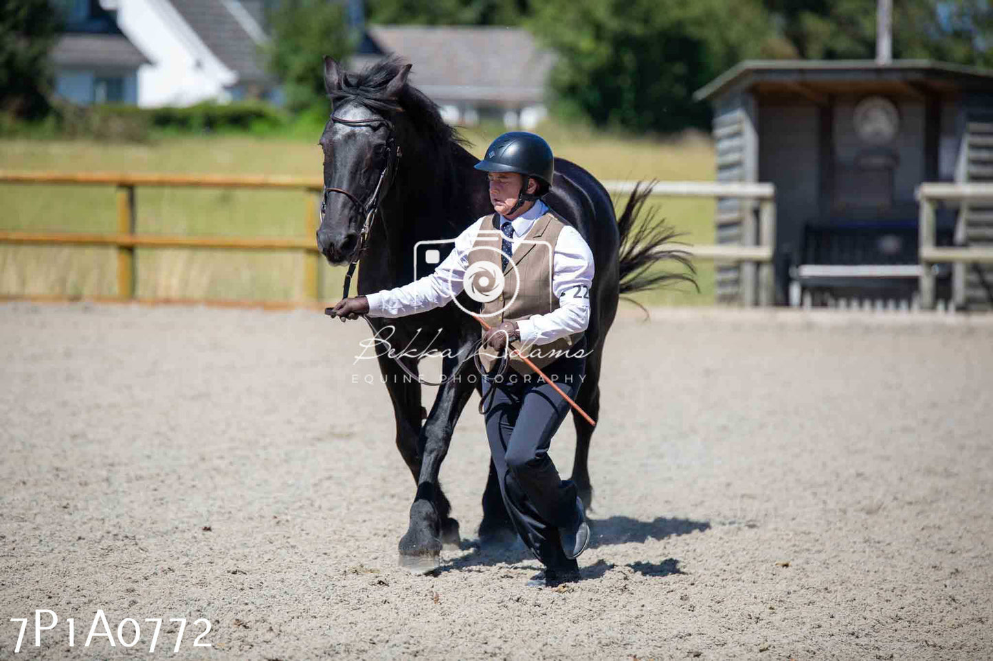 Home Farm Annual Show - Inhand Showing 19th August 2023