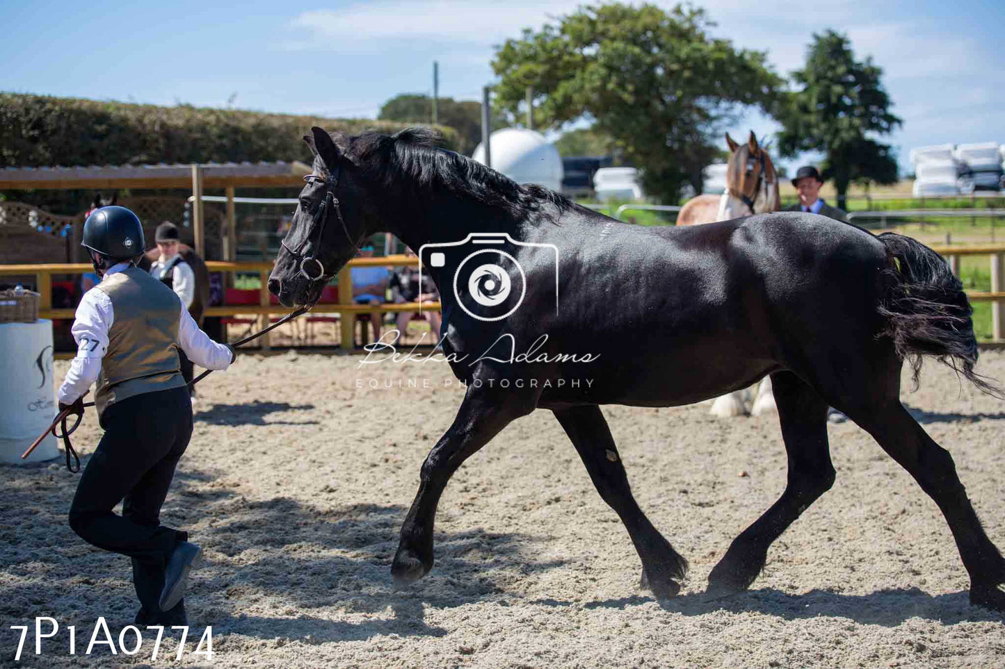 Home Farm Annual Show - Inhand Showing 19th August 2023