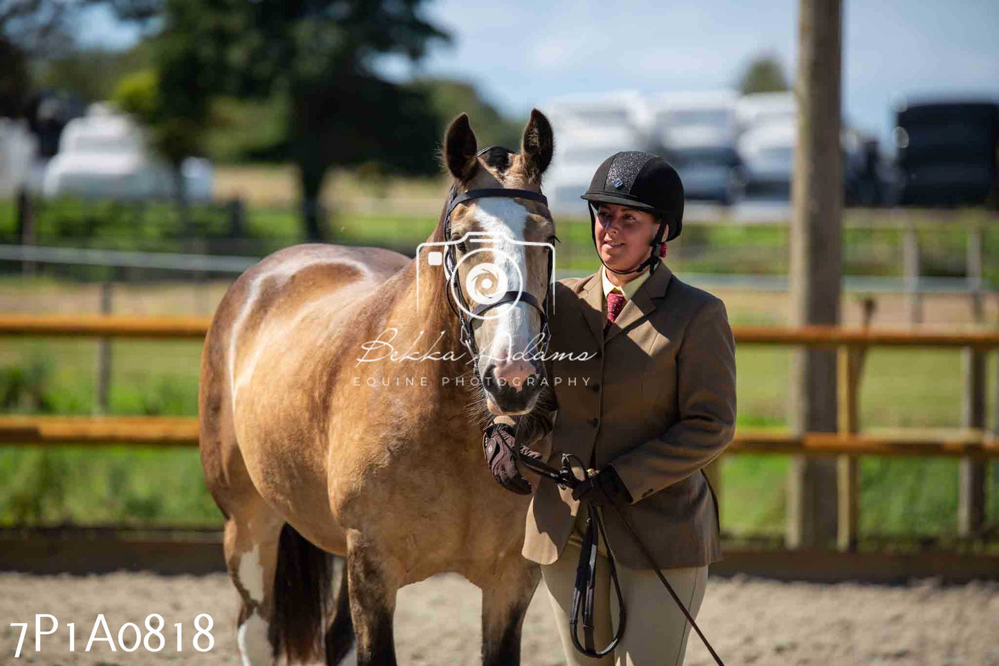 Home Farm Annual Show - Inhand Showing 19th August 2023