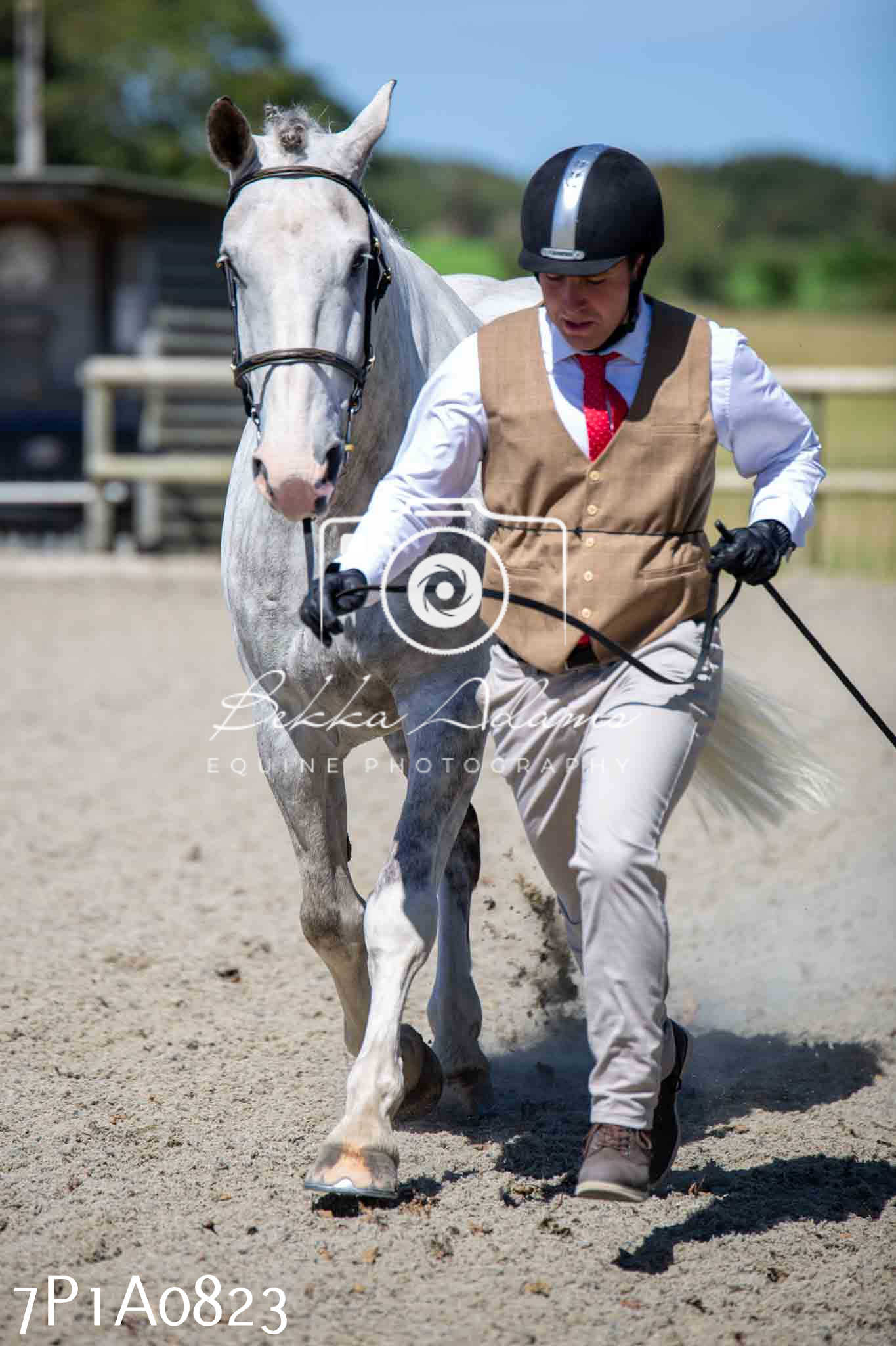 Home Farm Annual Show - Inhand Showing 19th August 2023