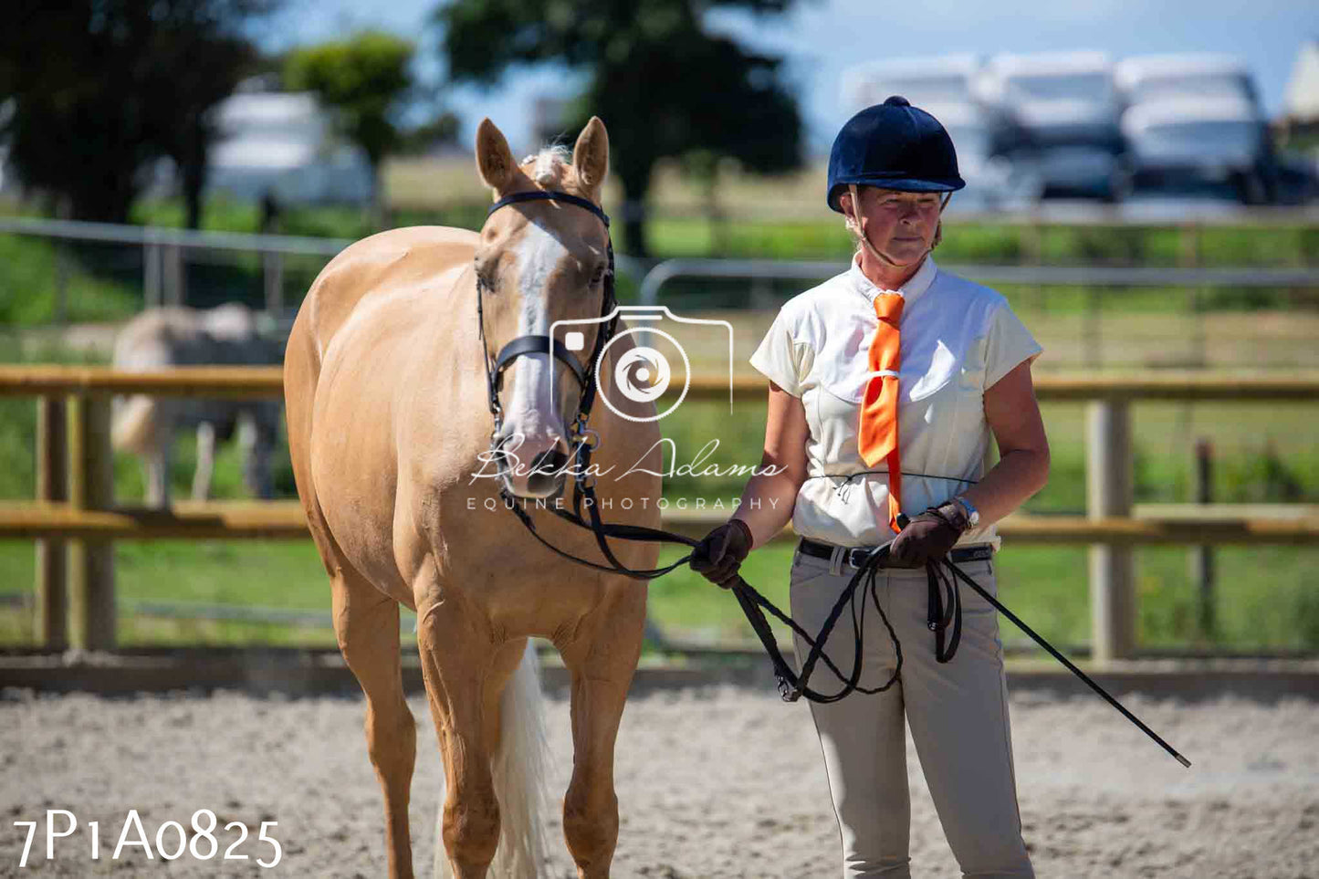 Home Farm Annual Show - Inhand Showing 19th August 2023