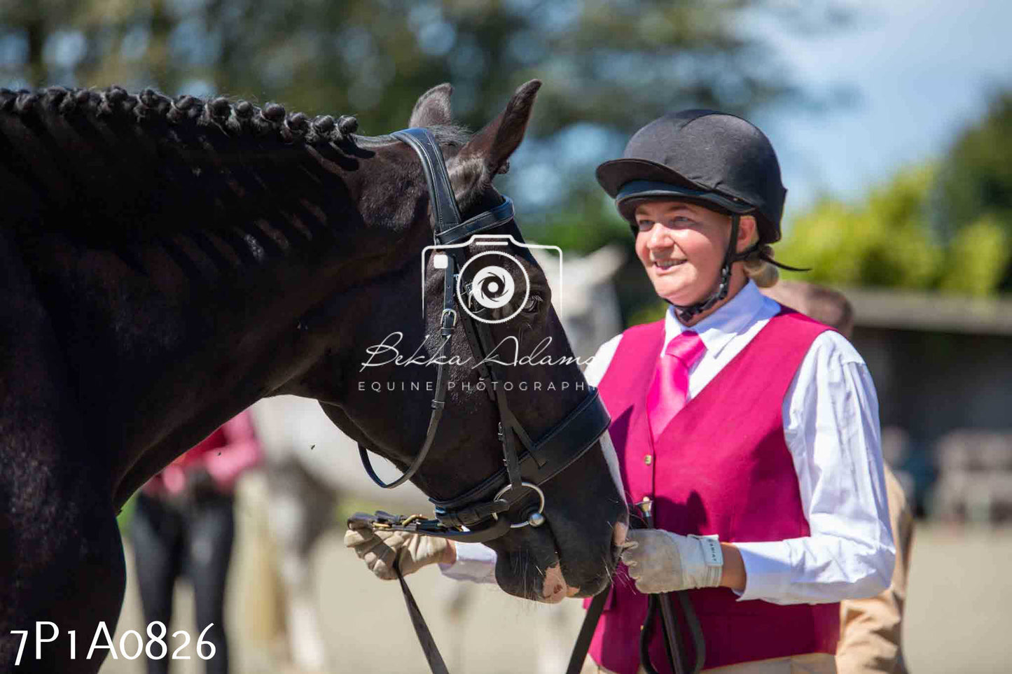 Home Farm Annual Show - Inhand Showing 19th August 2023