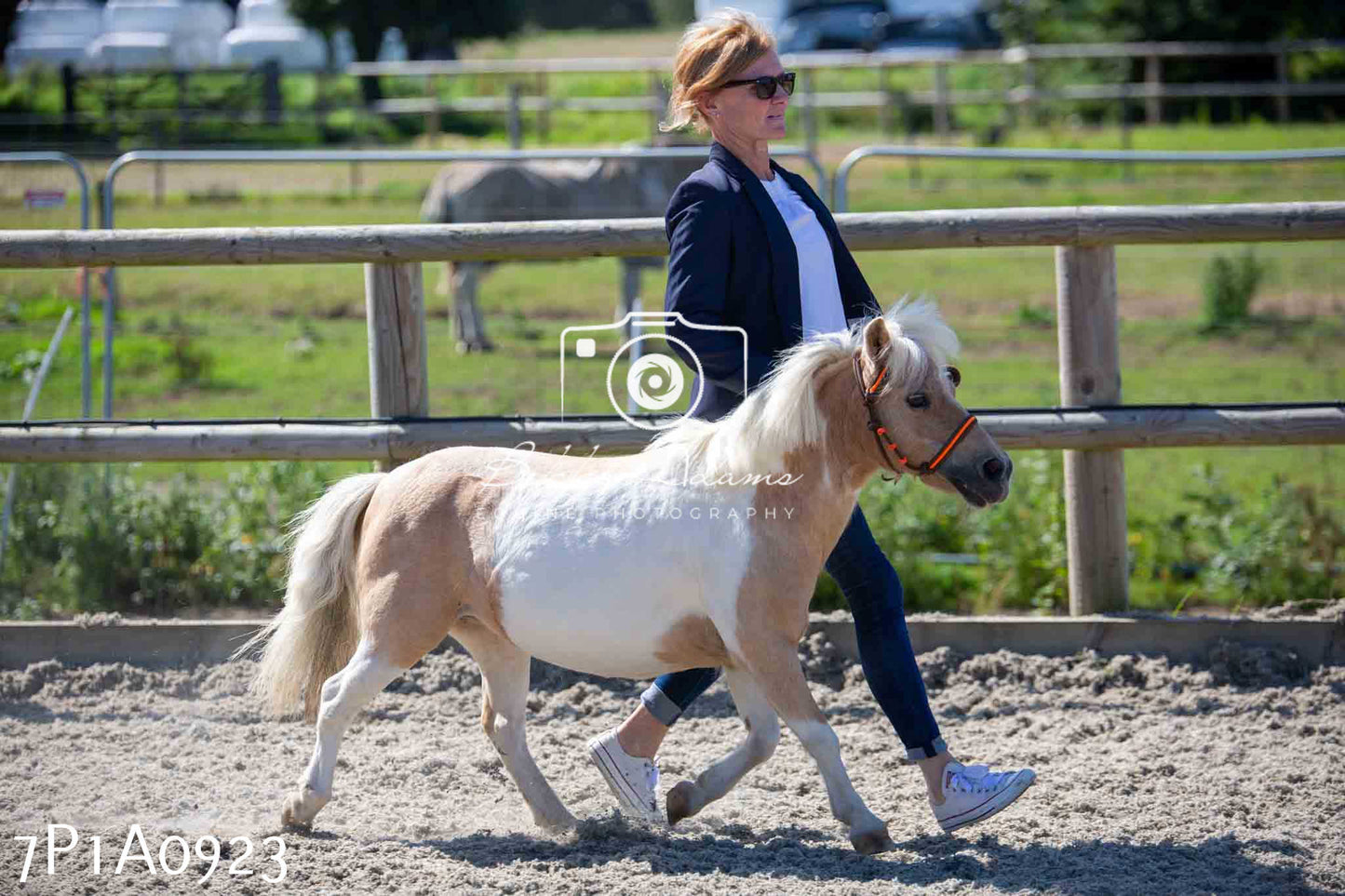 Home Farm Annual Show - Inhand Showing 19th August 2023