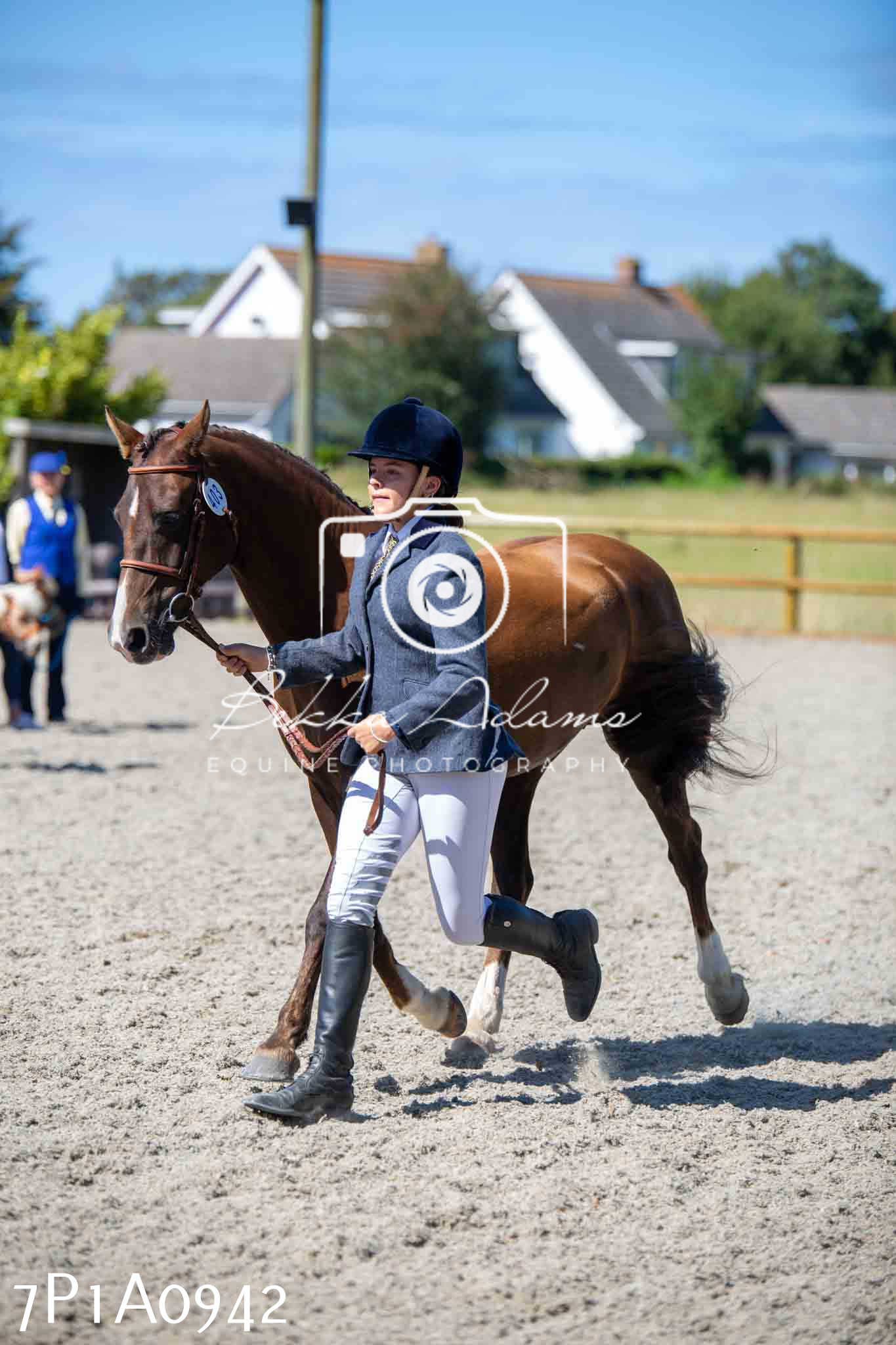 Home Farm Annual Show - Inhand Showing 19th August 2023