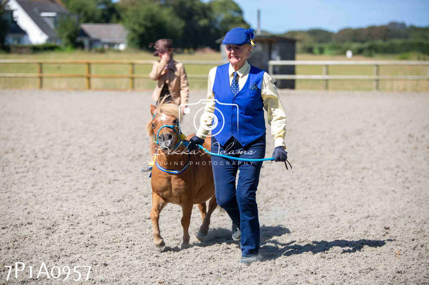 Home Farm Annual Show - Inhand Showing 19th August 2023